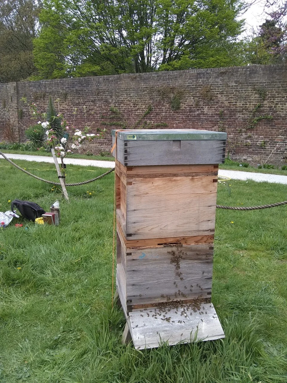 Our beehive