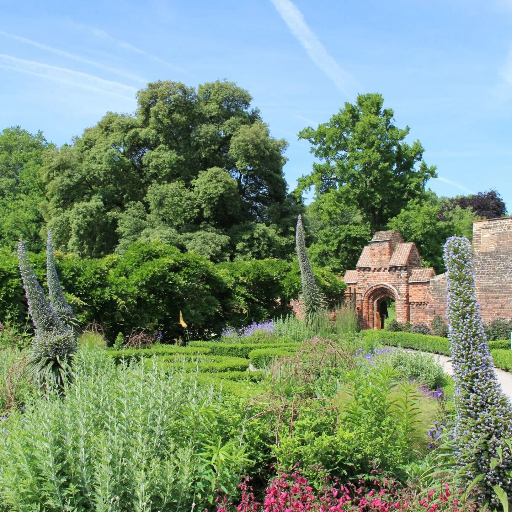 Resized+walled+garden+summer.jpg