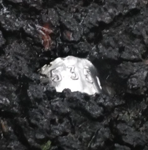 A close-up of the tag