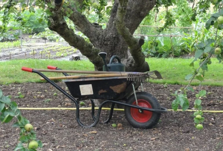 The Wheelbarrow under the apple trees.