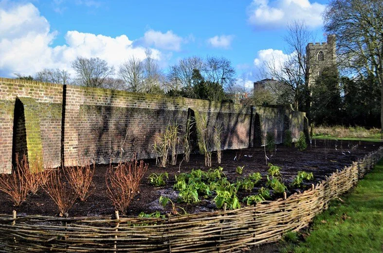 The Compton Beds