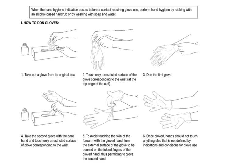 WHO advice on correctly donning gloves