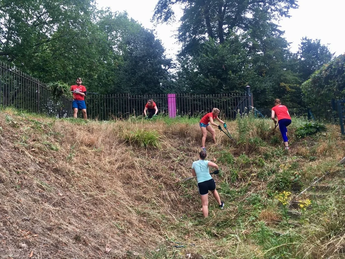 Those weeds did not stand a chance!