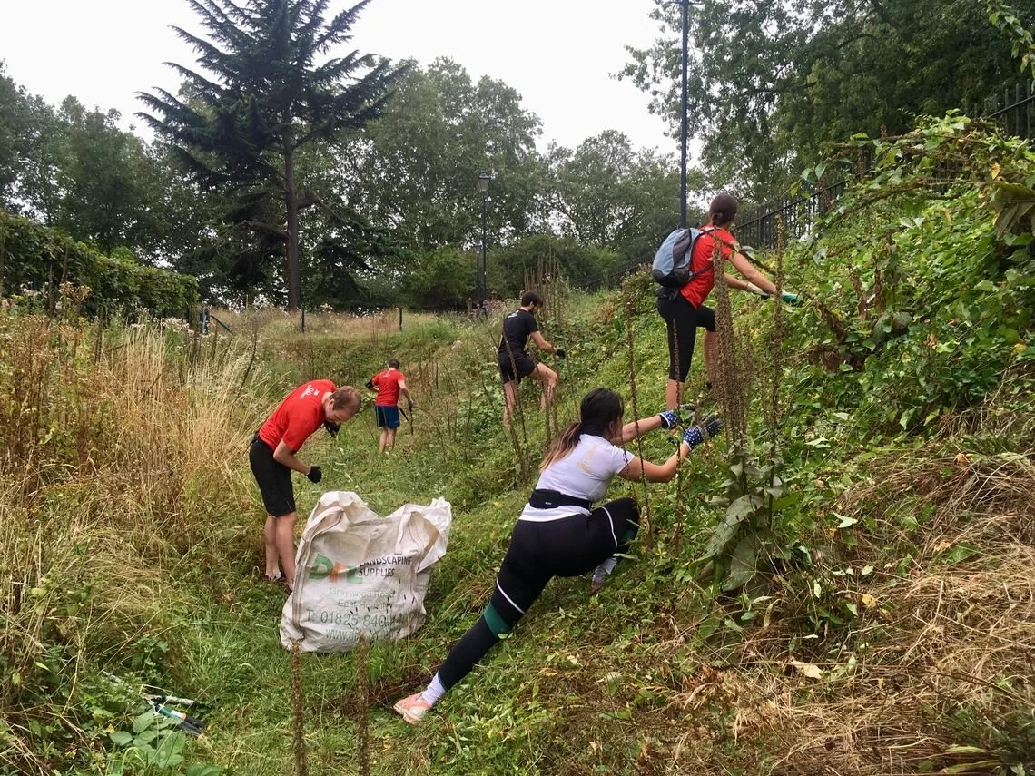 Clearing weeds in the moat