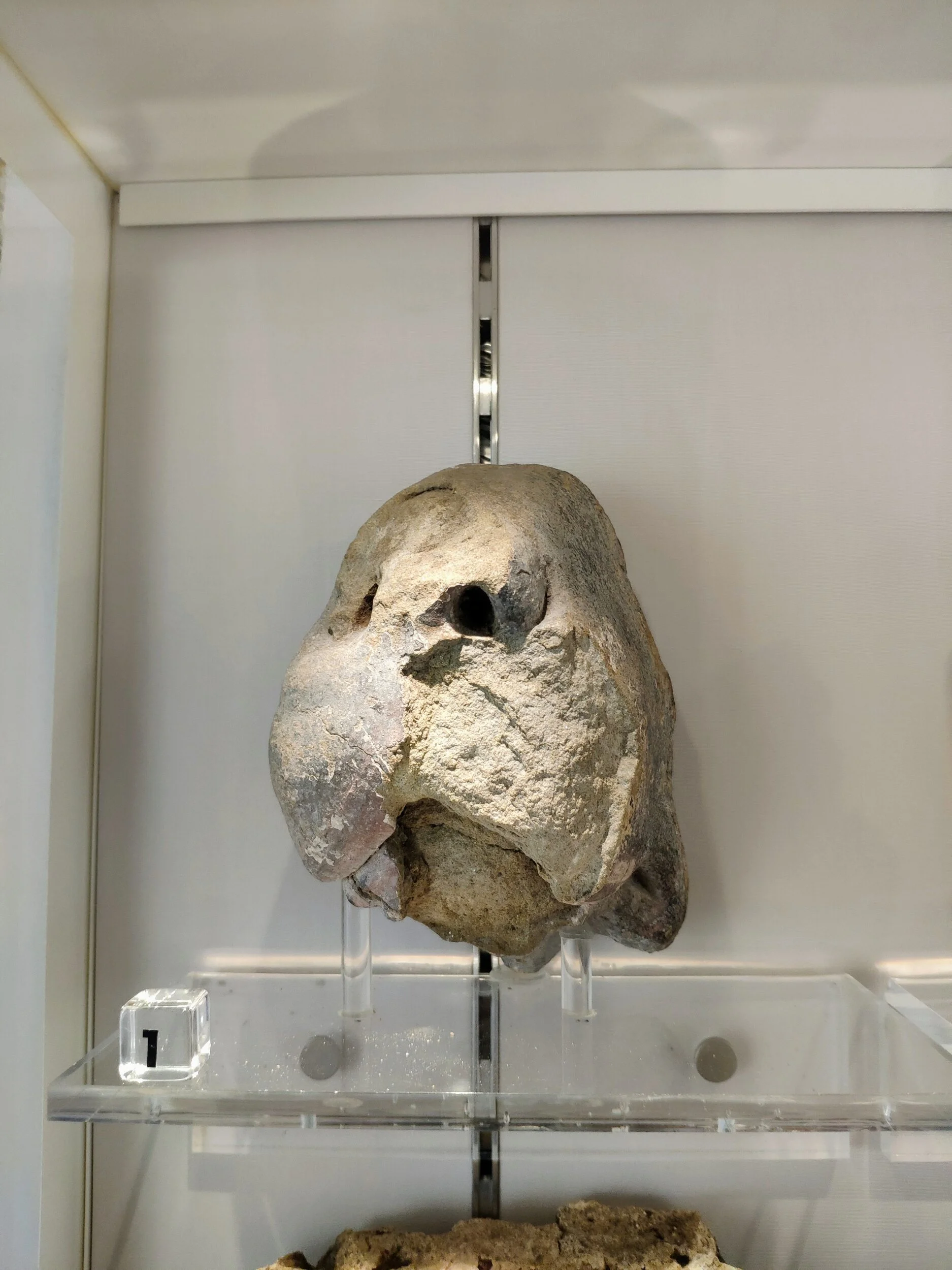 A ceiling boss seemingly carved into the shape of a lion's head, stone, medieval (1066-1485).