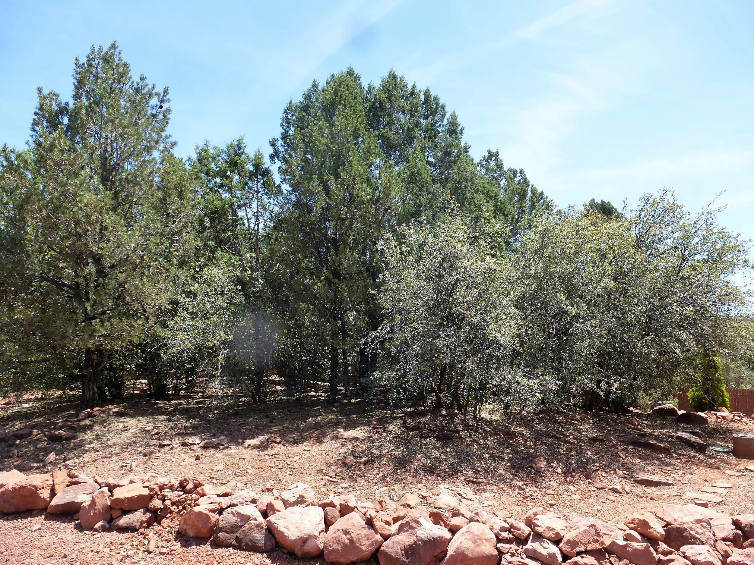 Left to right: Pinon, juniper, scrub oak