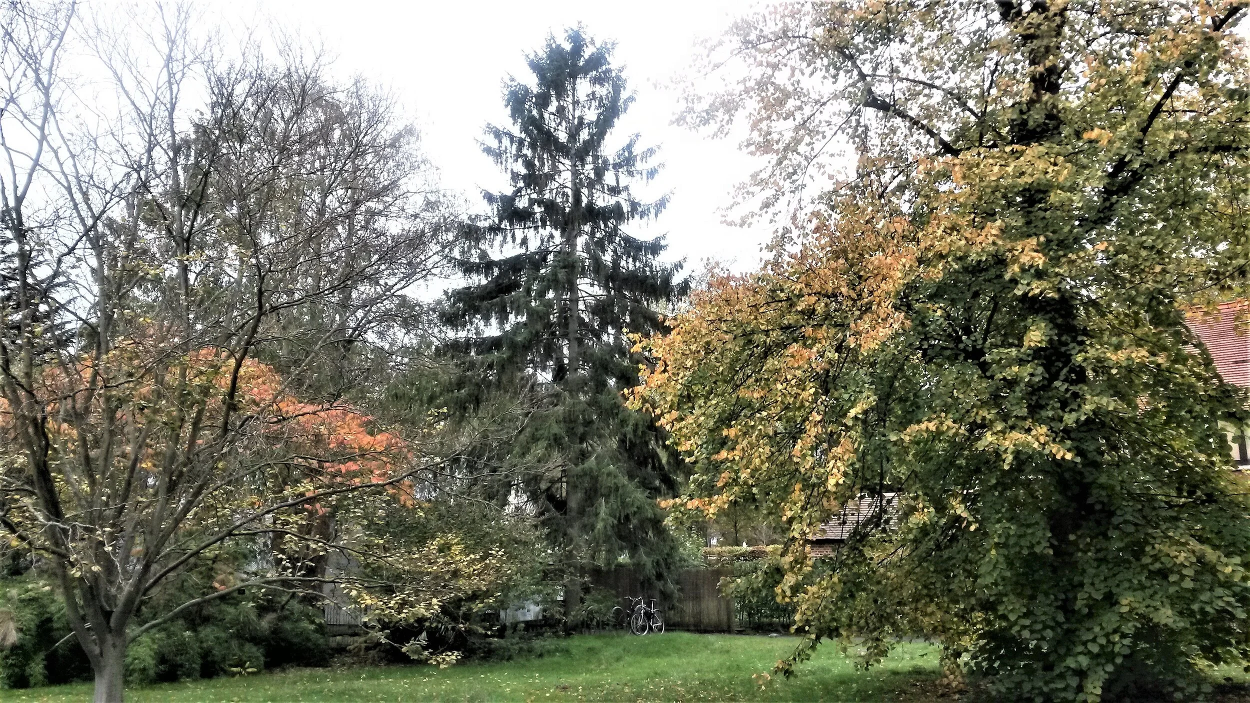 Looking towards the children’s nursery from the front drive