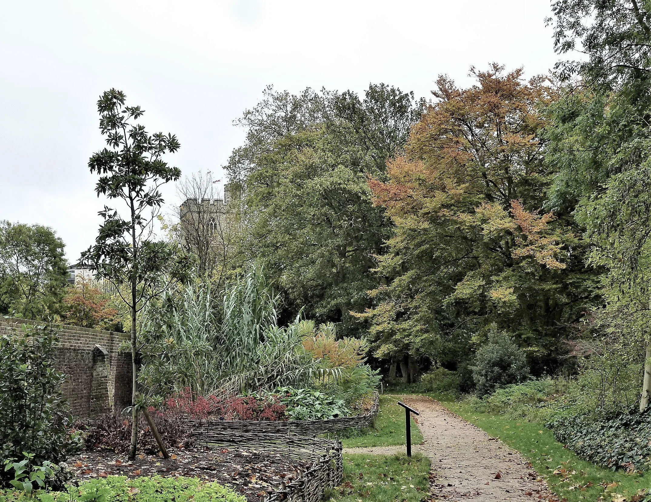 A section of the Compton Beds looking towards the church