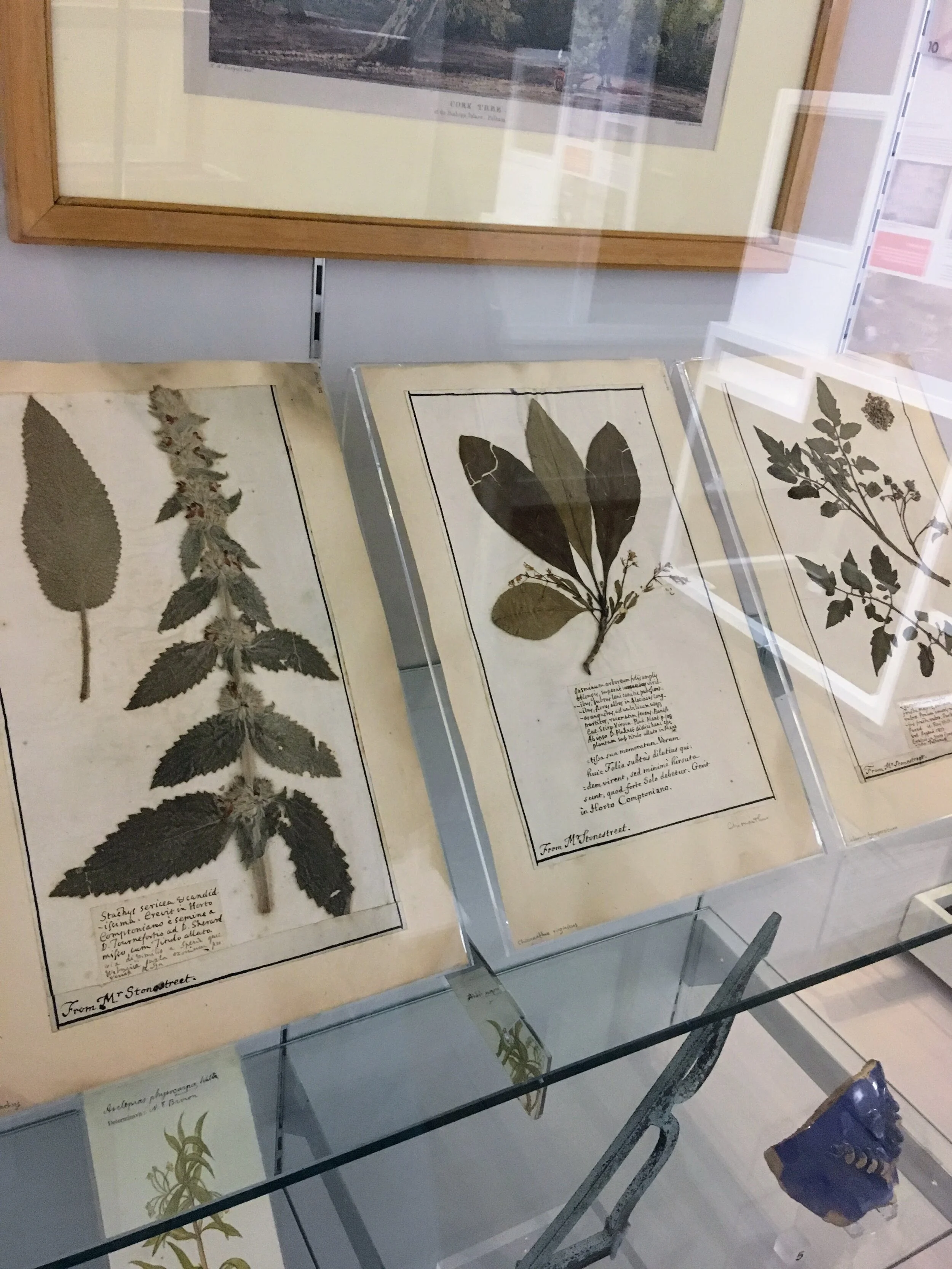 Some precious artefacts safely stored behind glass.