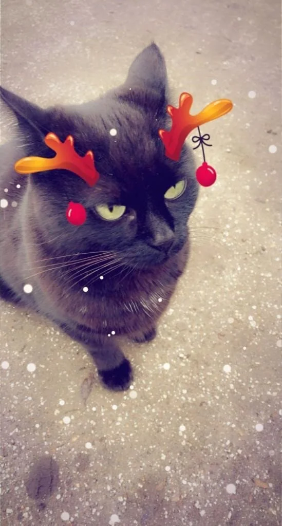 Julia McGeady - Edmund as a reindeer.jpg