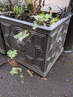 Detail of the ivy leaves growing at the Palace