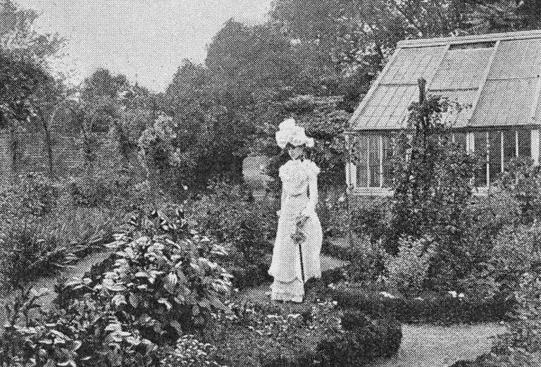 Photograph from 1901 with wisteria and ornate hoops visible in the background.  (https://www.fulhampalace.org/support-us/current-campaigns/wisteria-arch-appeal/ Wisteria Arch Appeal)