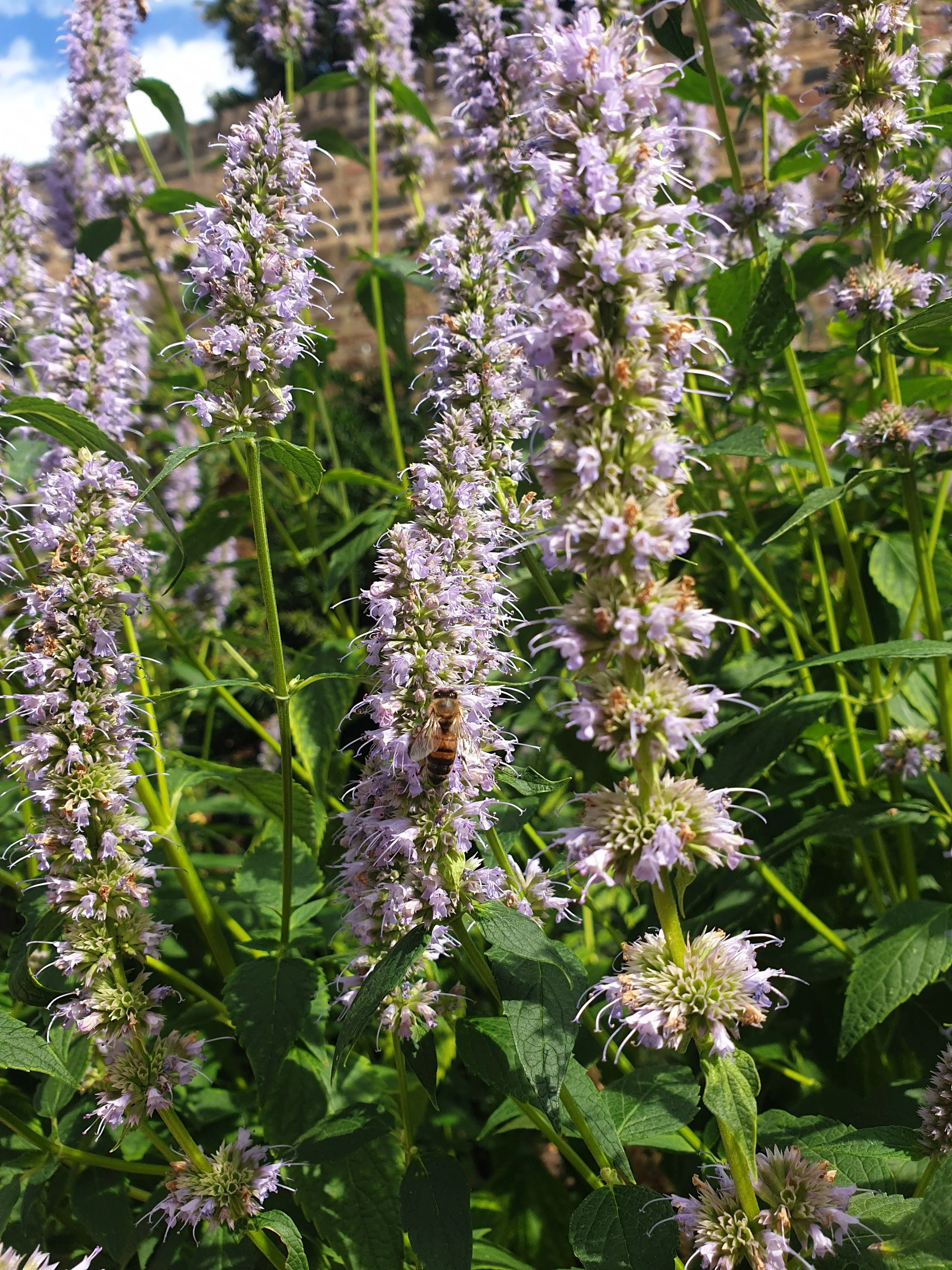 20220804_105438.jpg