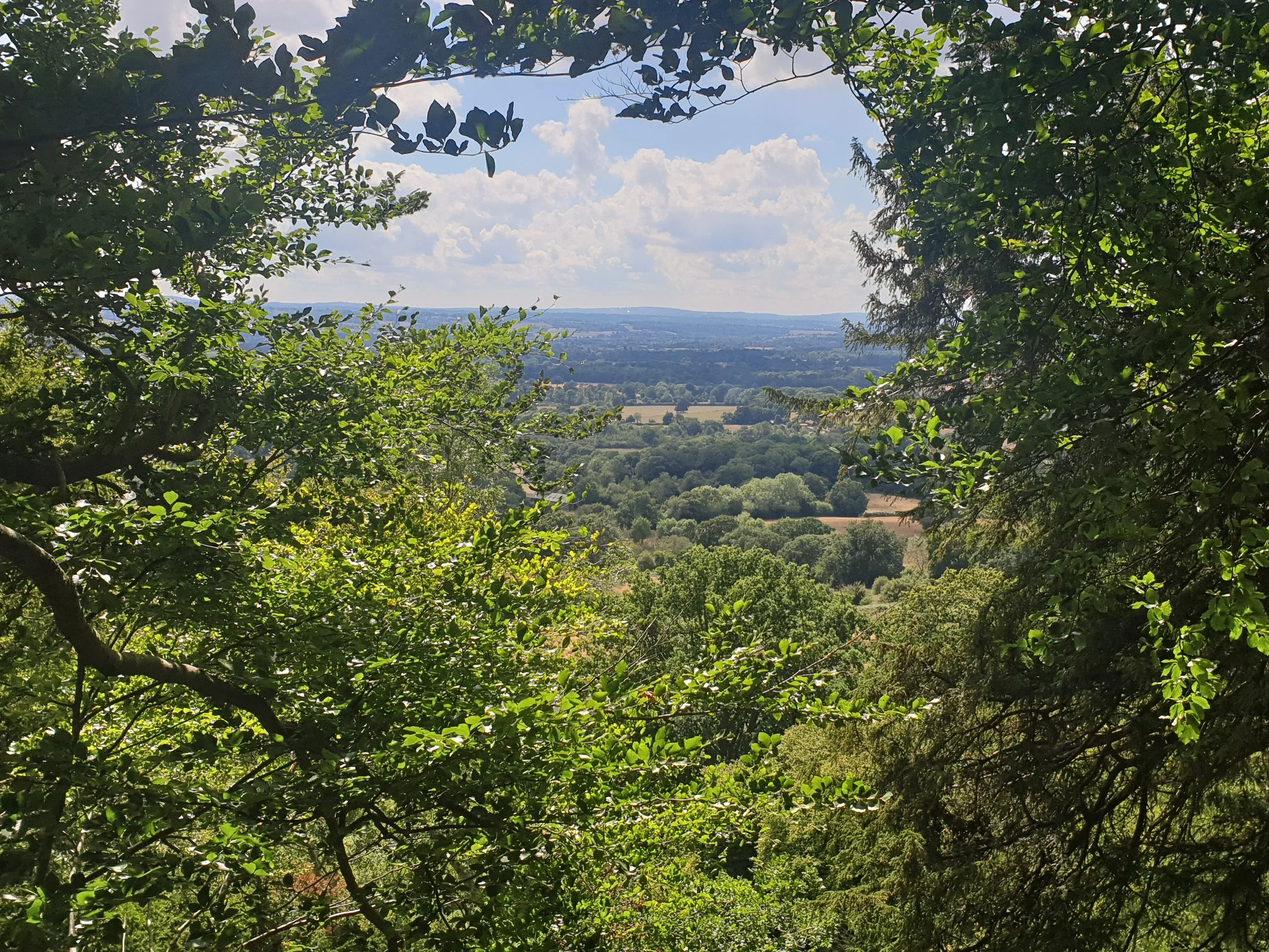20220824_131654.jpg