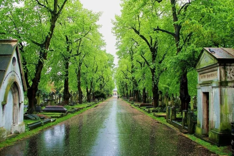 Volunteer trip to Brompton Cemetery 