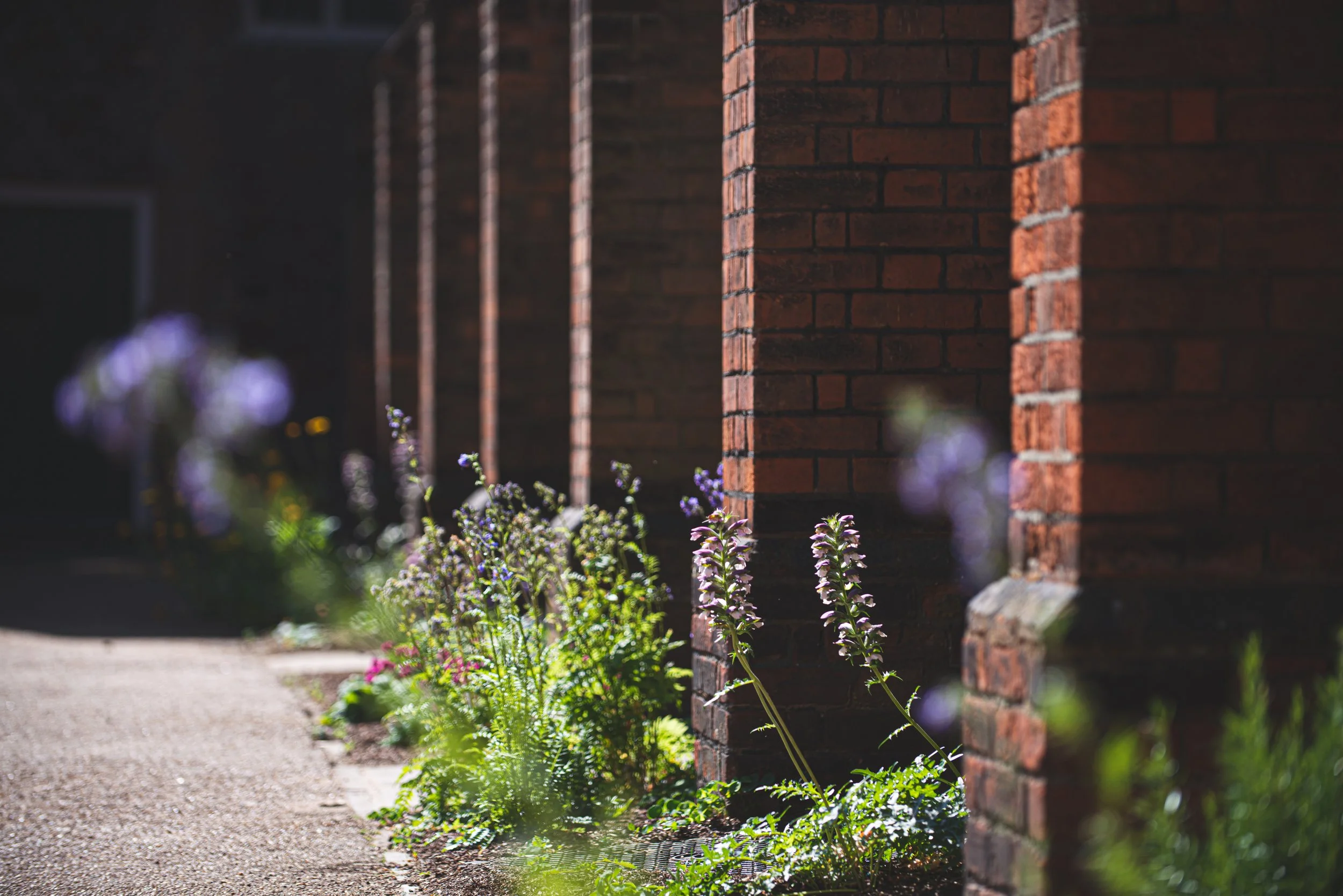 An exclusive Fulham Palace tour for volunteers only 