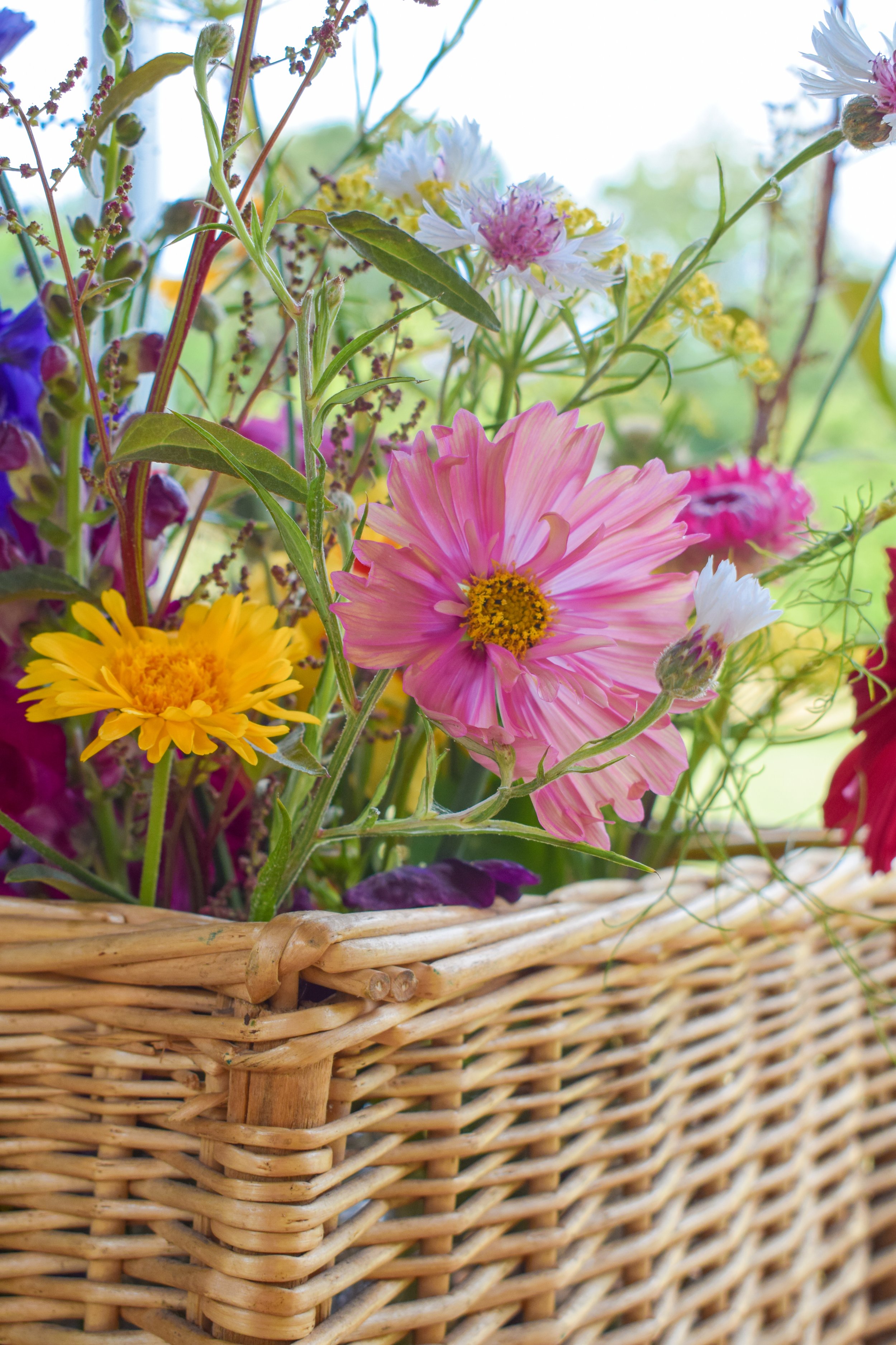 Volunteer summer garden party 2026