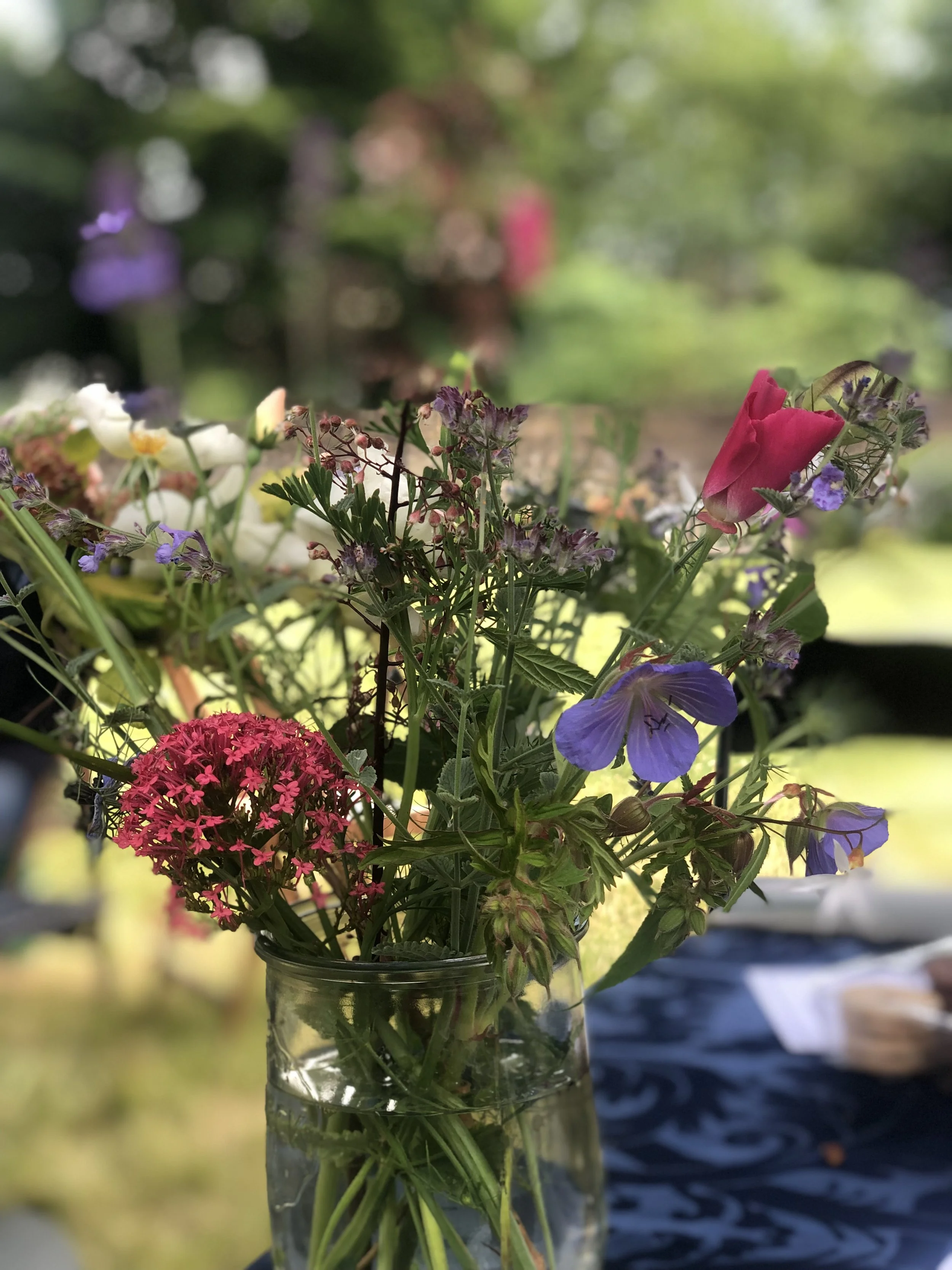 IMG_1028.jpeg