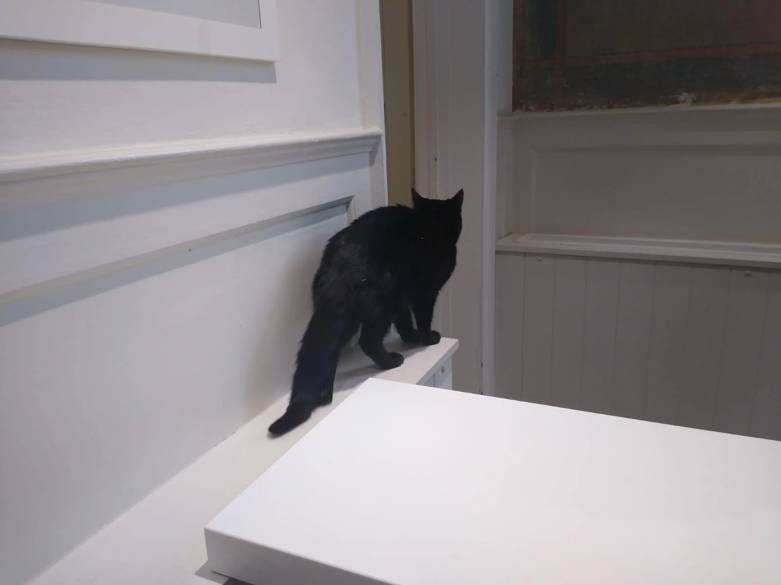 shared image (40).jpeg