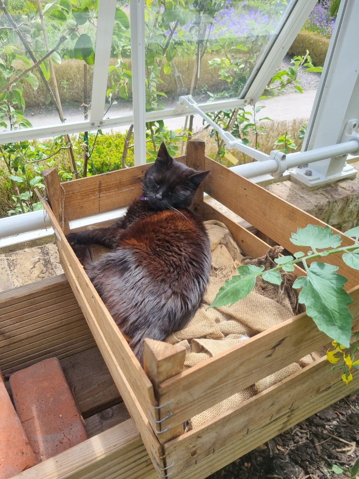 shared image (59).jpeg