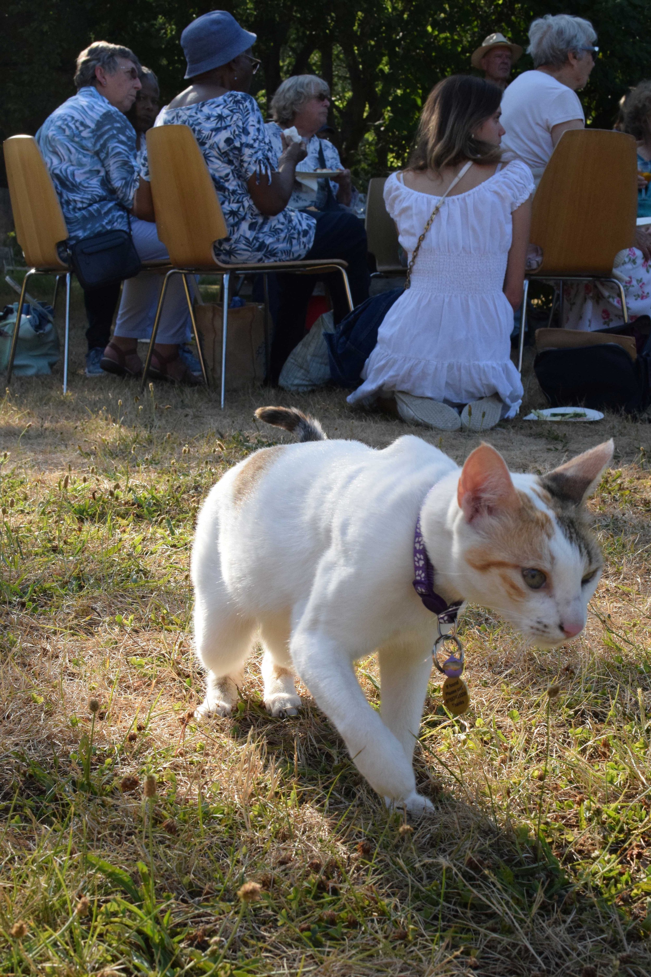 DSC_0334.JPG