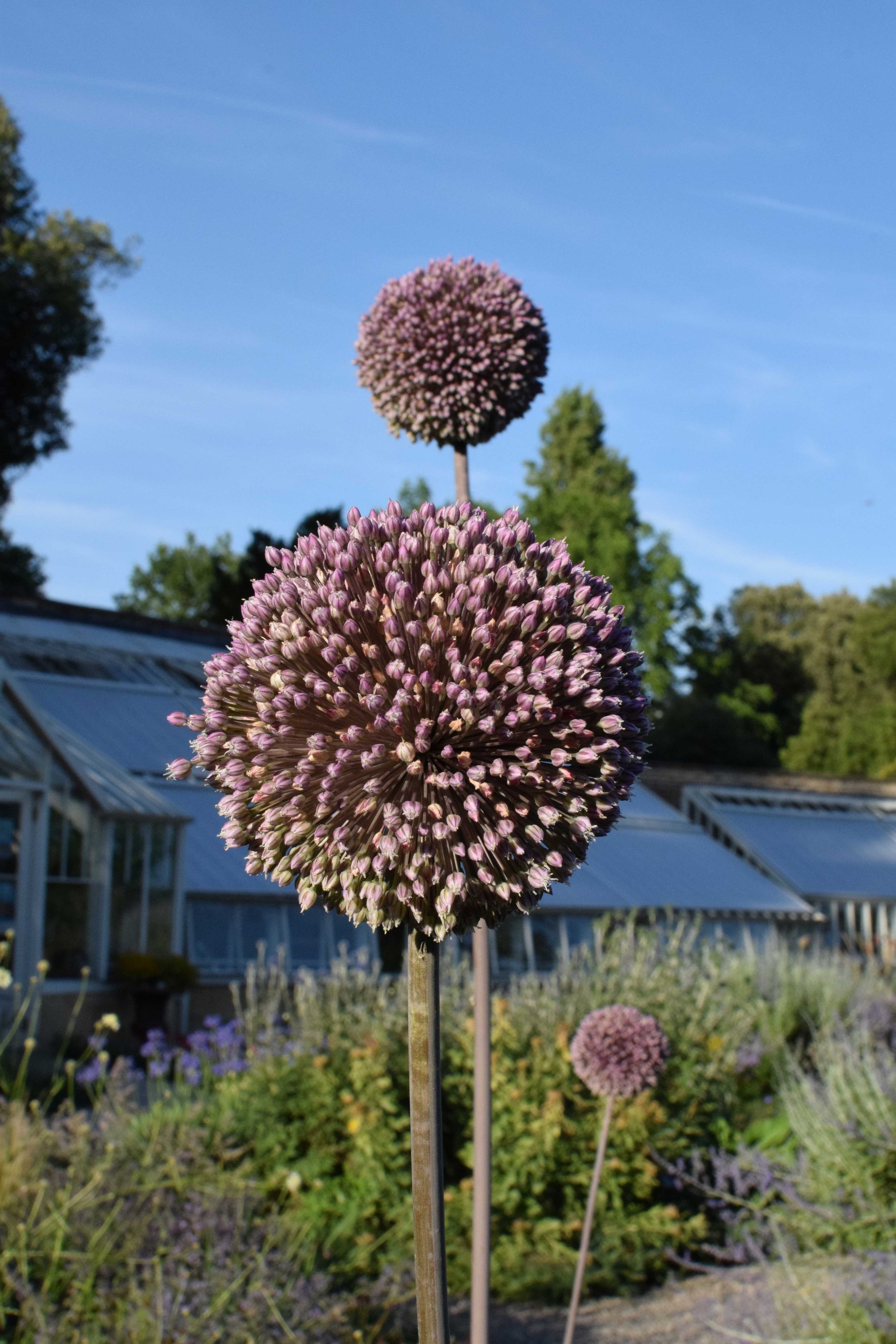 DSC_0380.JPG