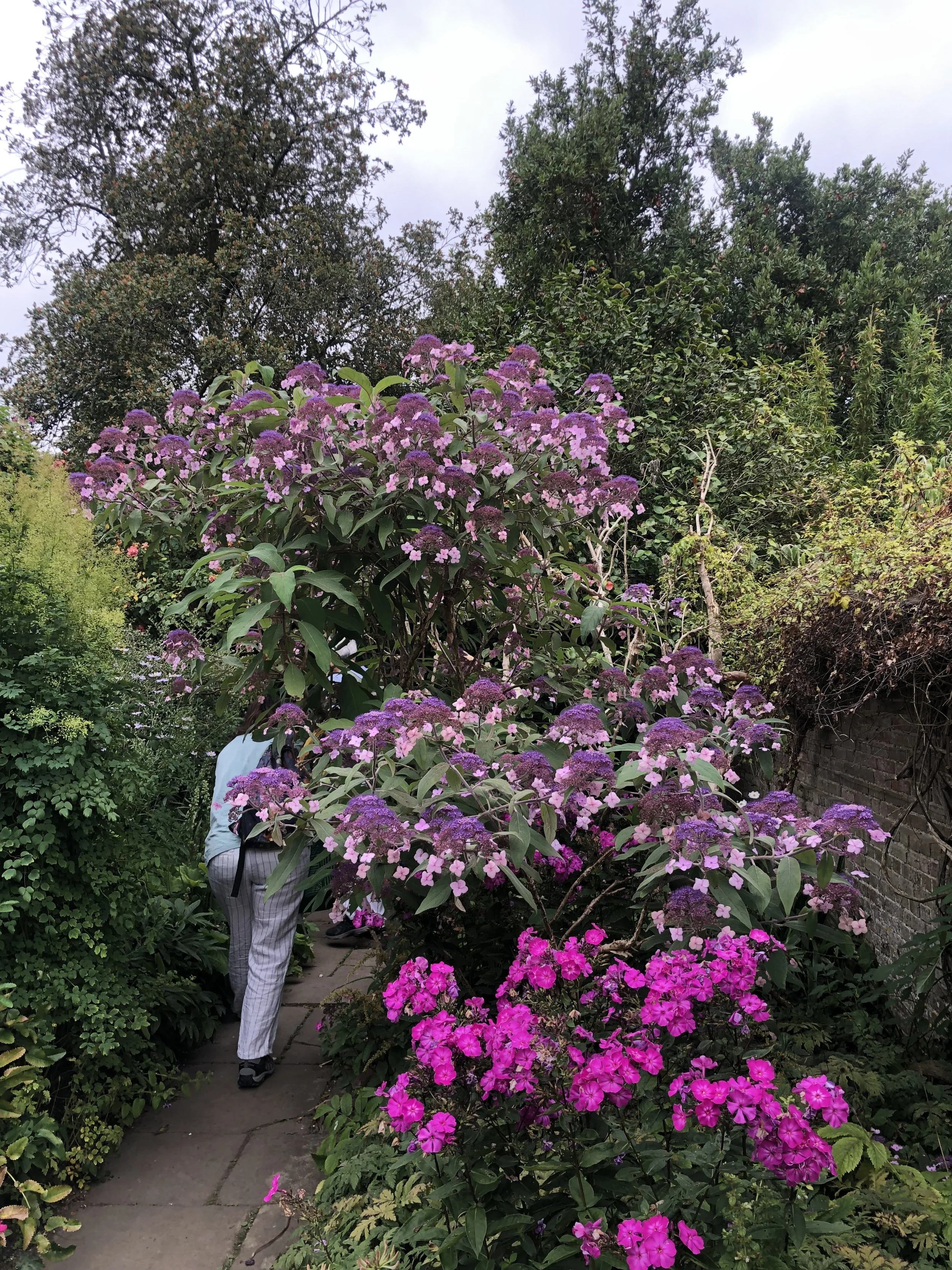 IMG_3596.jpeg