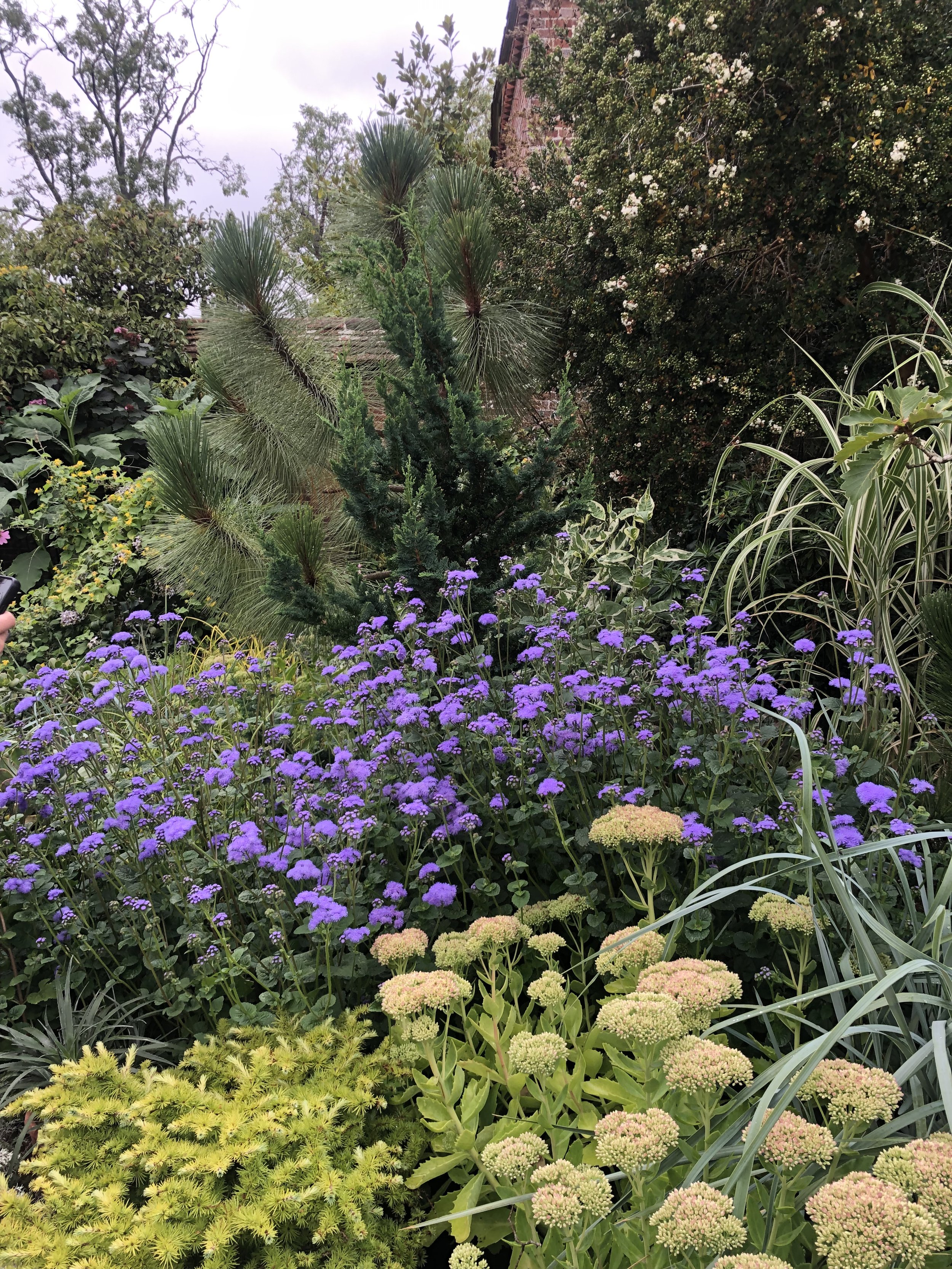 IMG_3597.jpeg