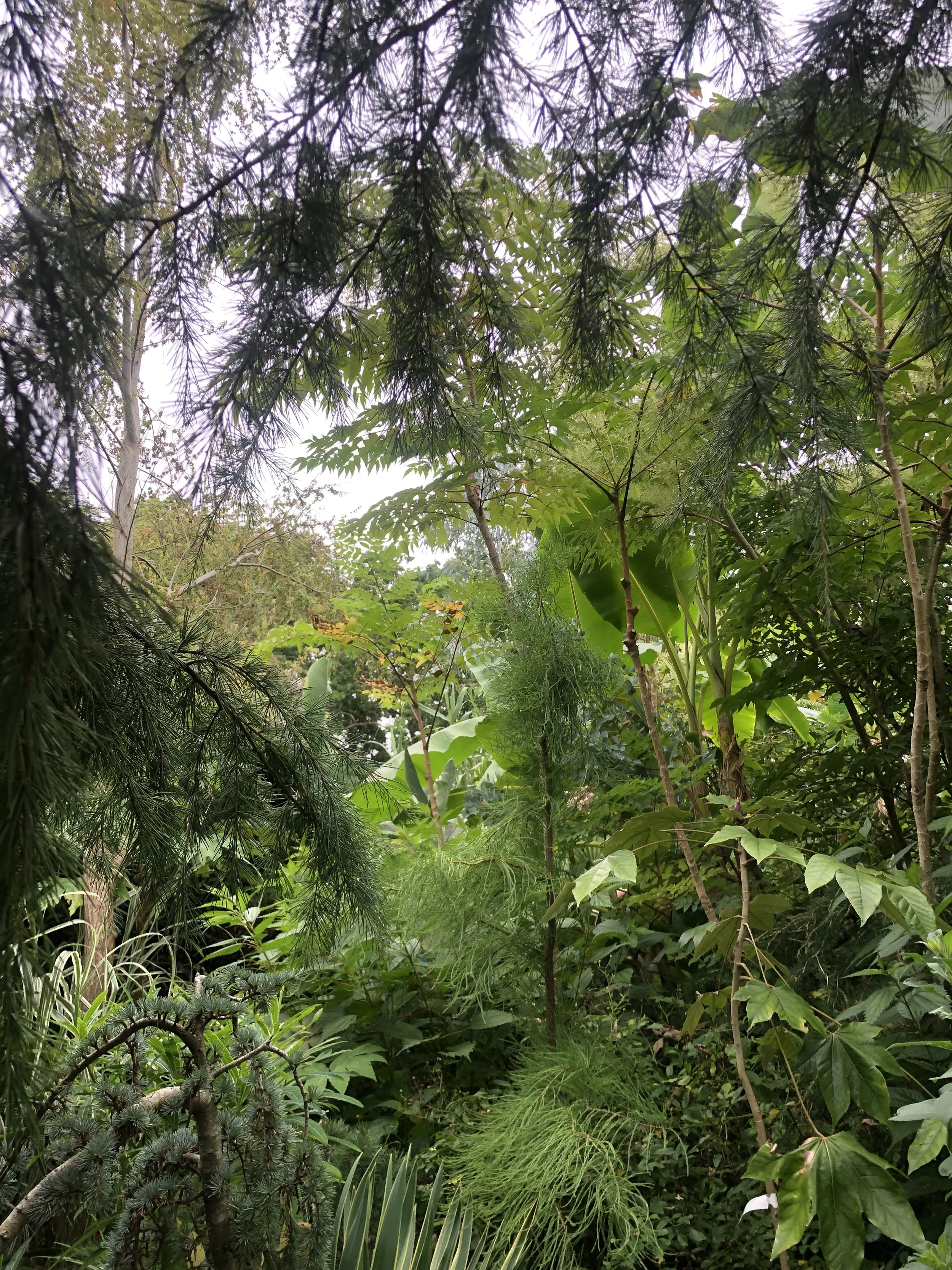 IMG_3613.jpeg