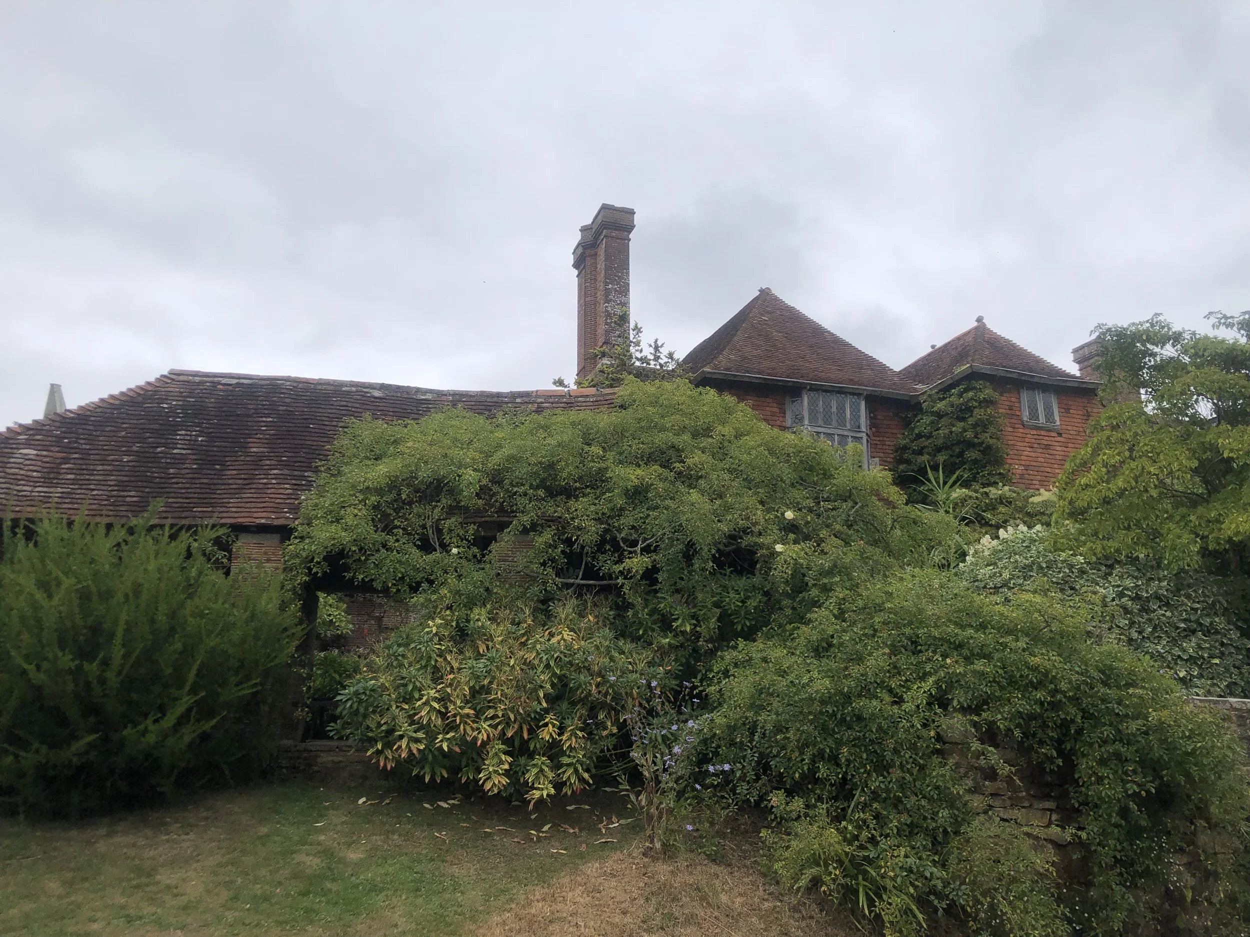 IMG_3622.jpeg