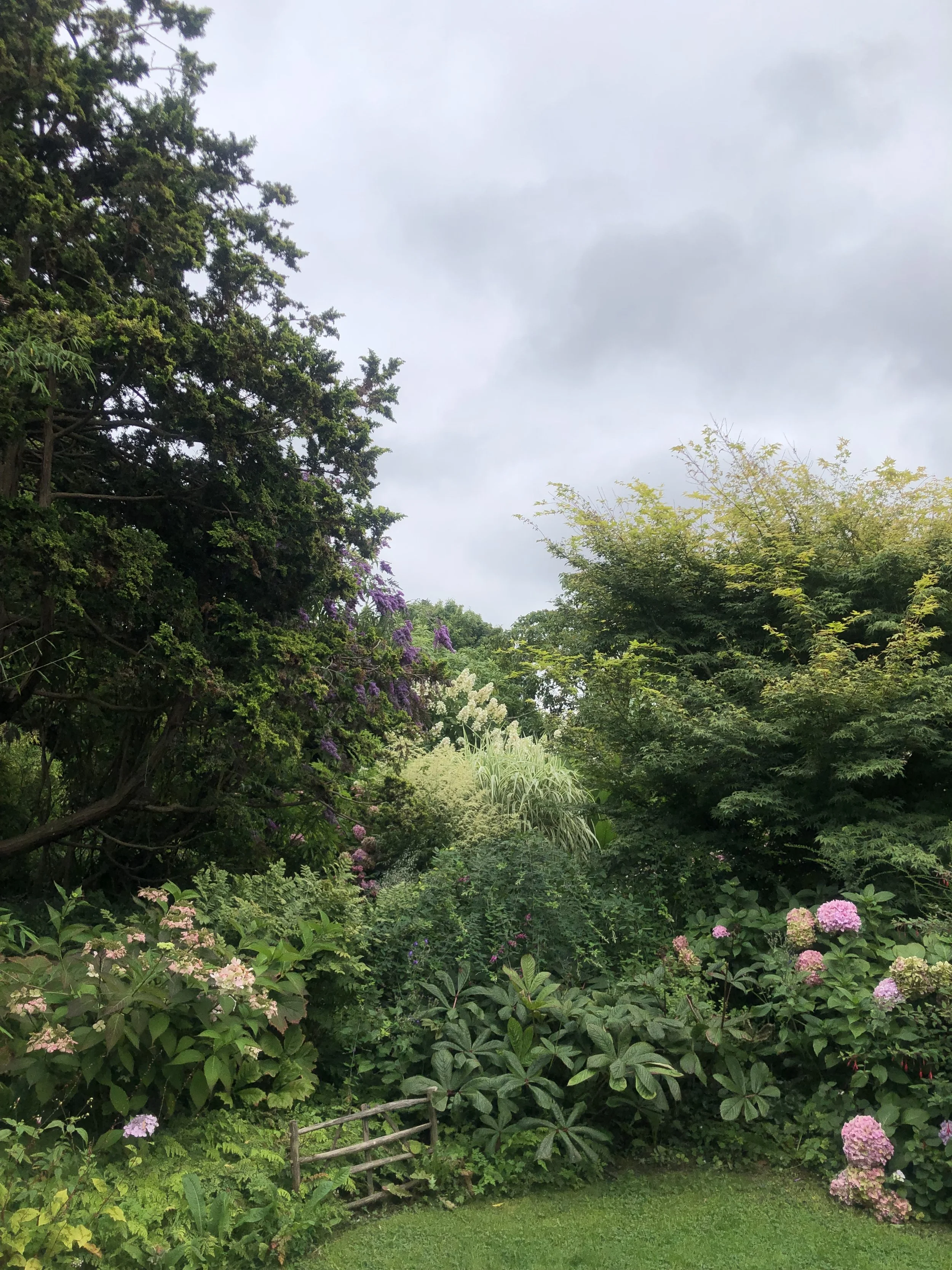 IMG_3625.jpeg