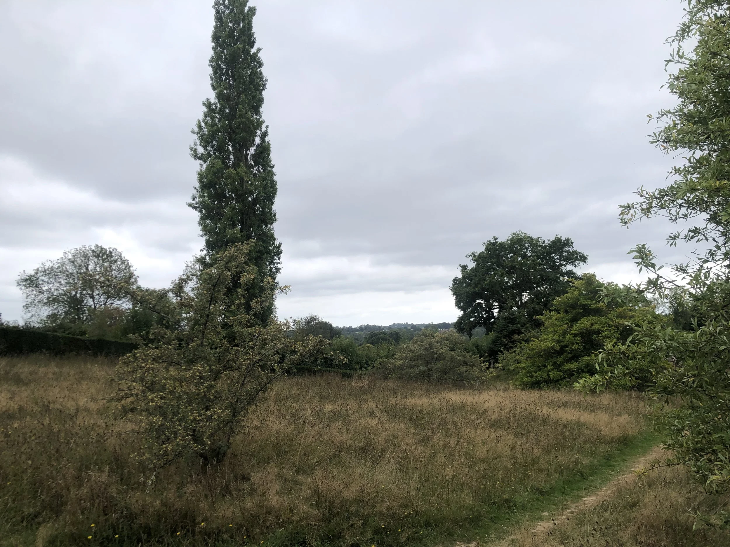 IMG_3665.jpeg