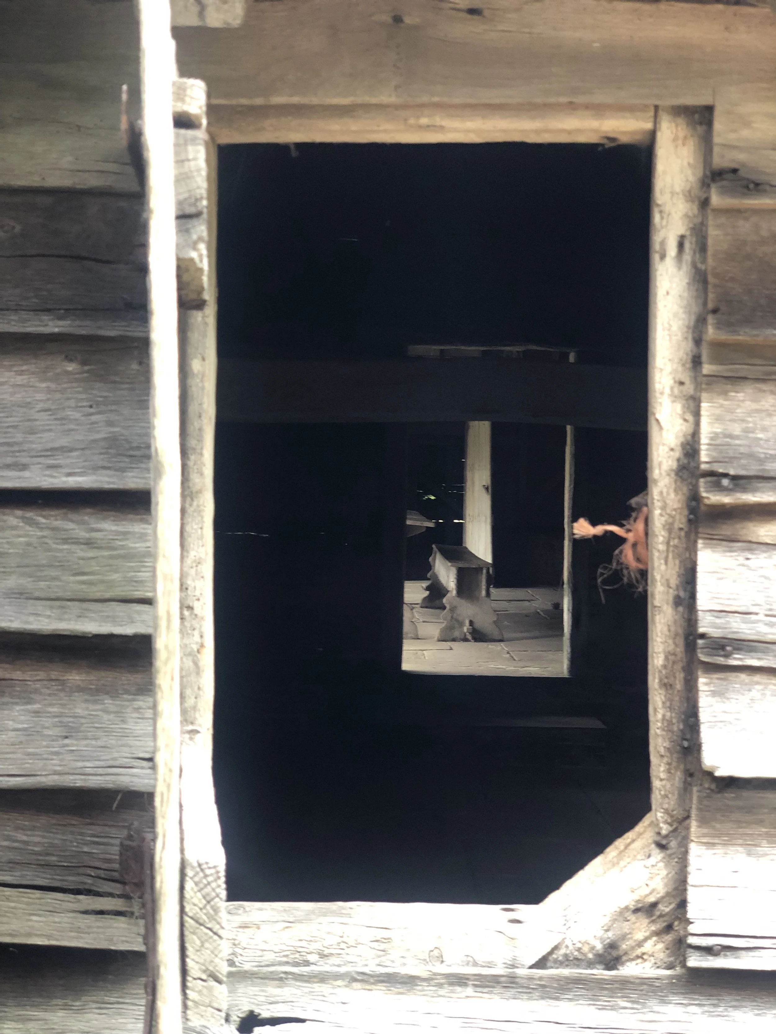 IMG_3670.jpeg