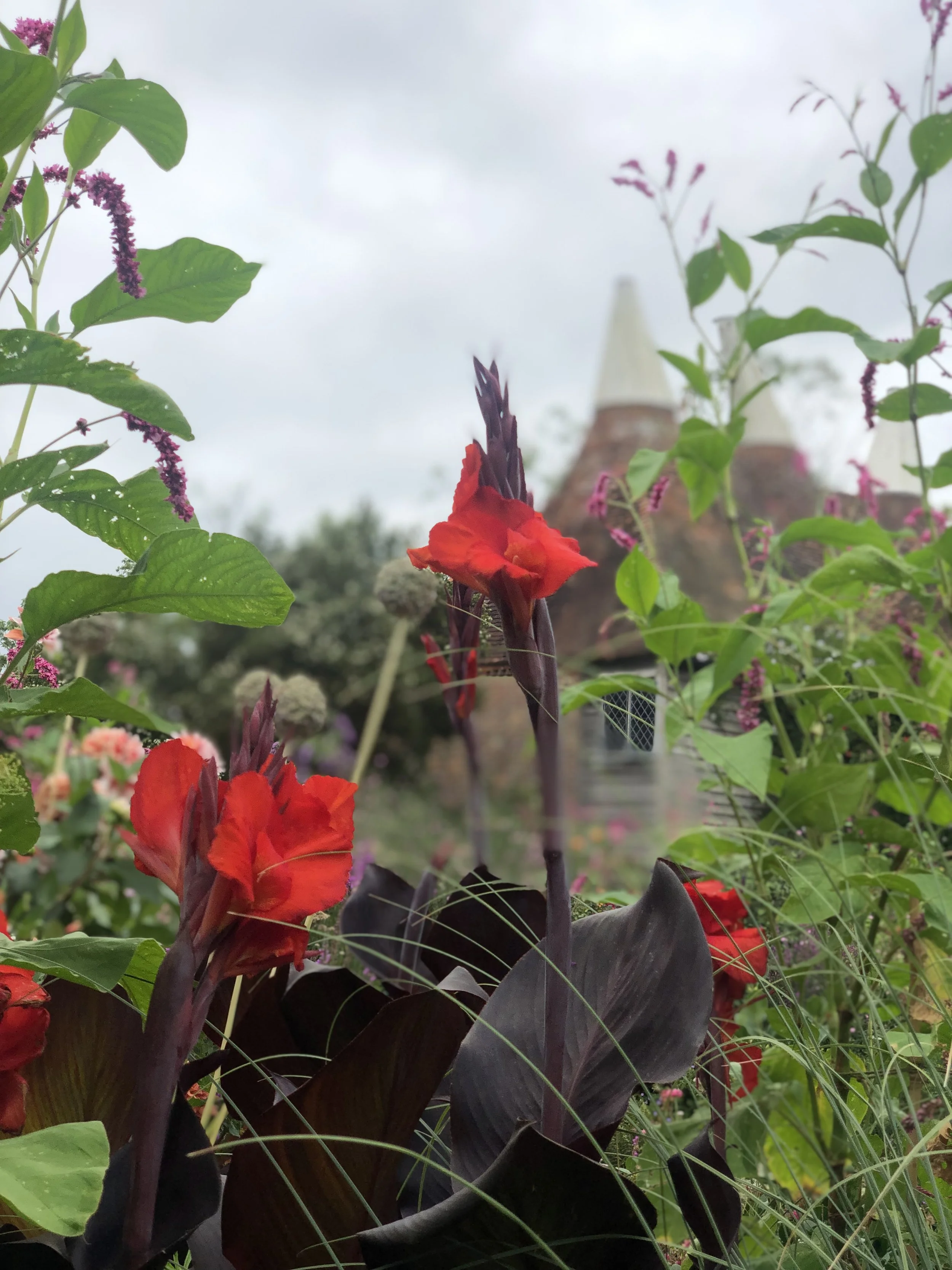 IMG_3685.jpeg