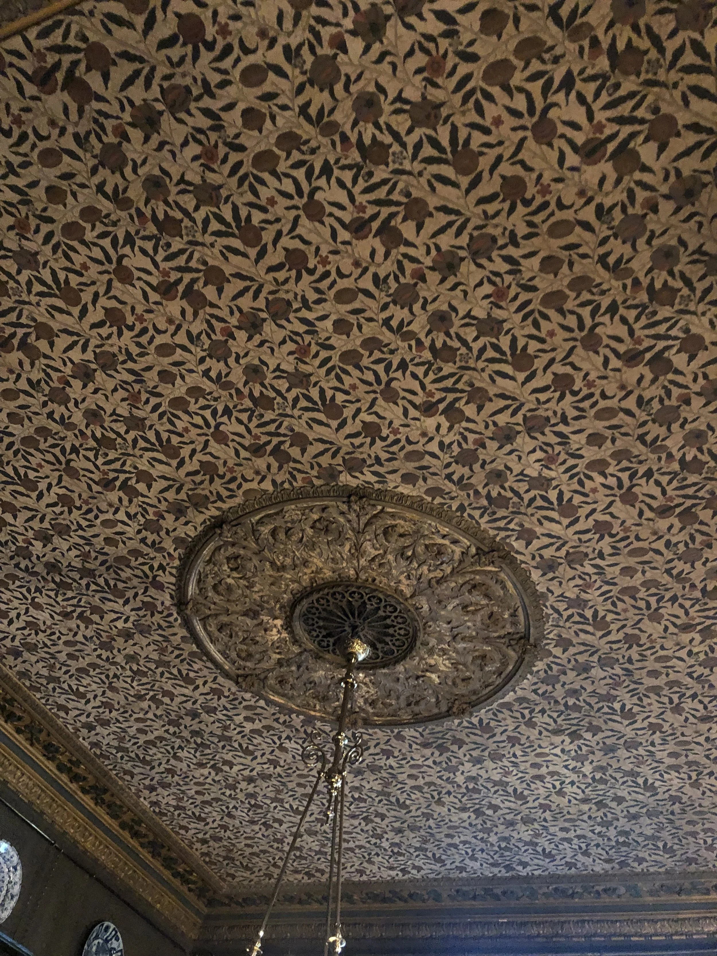 IMG_4909.jpeg