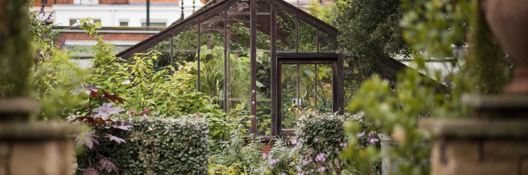 Volunteer complimentary guided tour of Chelsea Physic Garden
