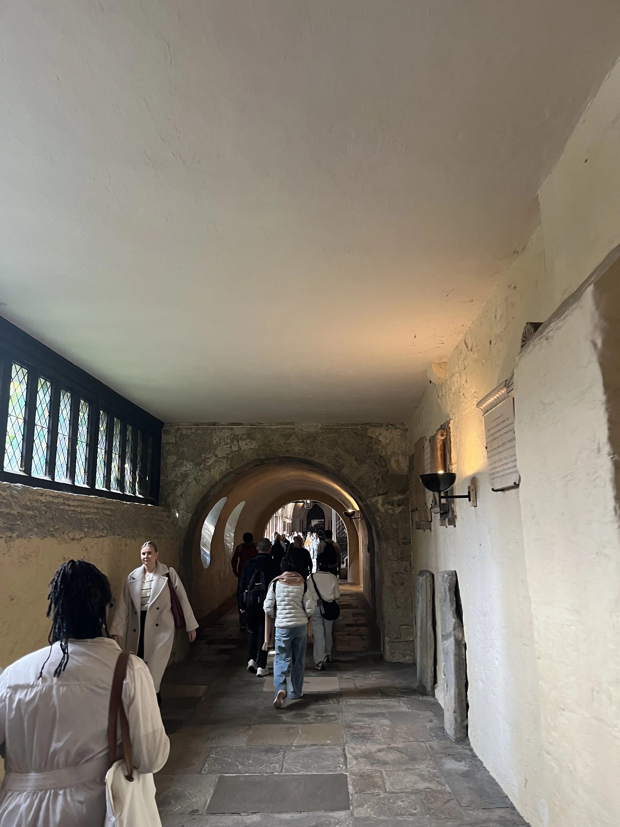 IMG_5247.jpeg