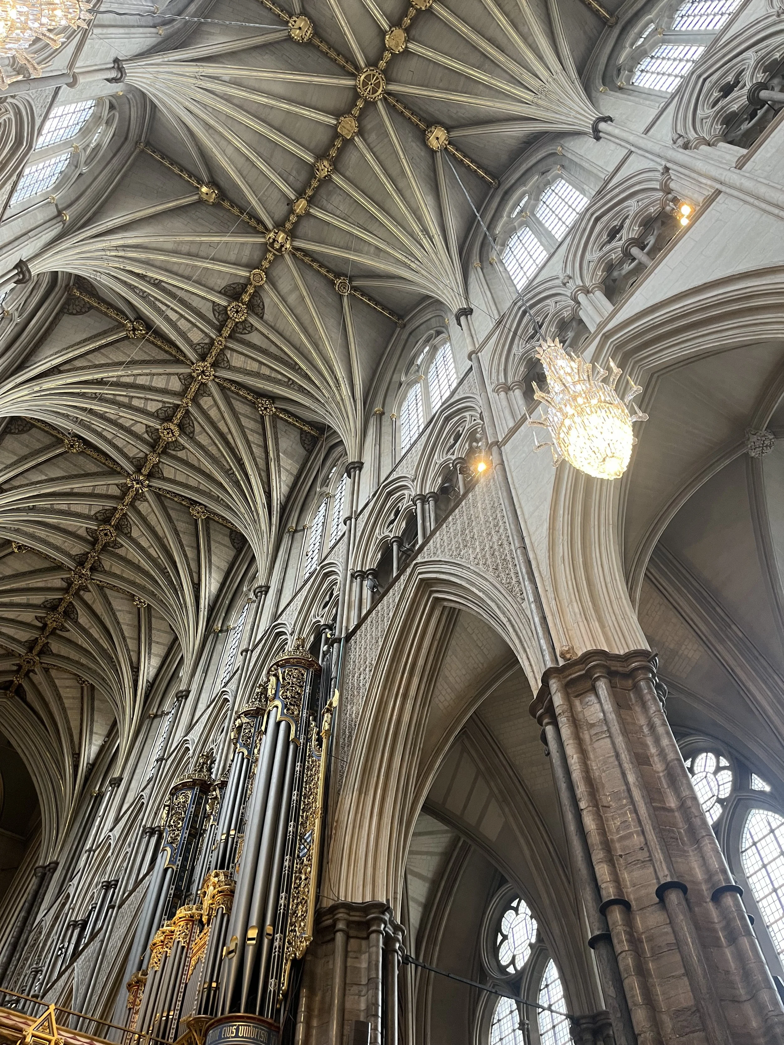 IMG_5257.jpeg