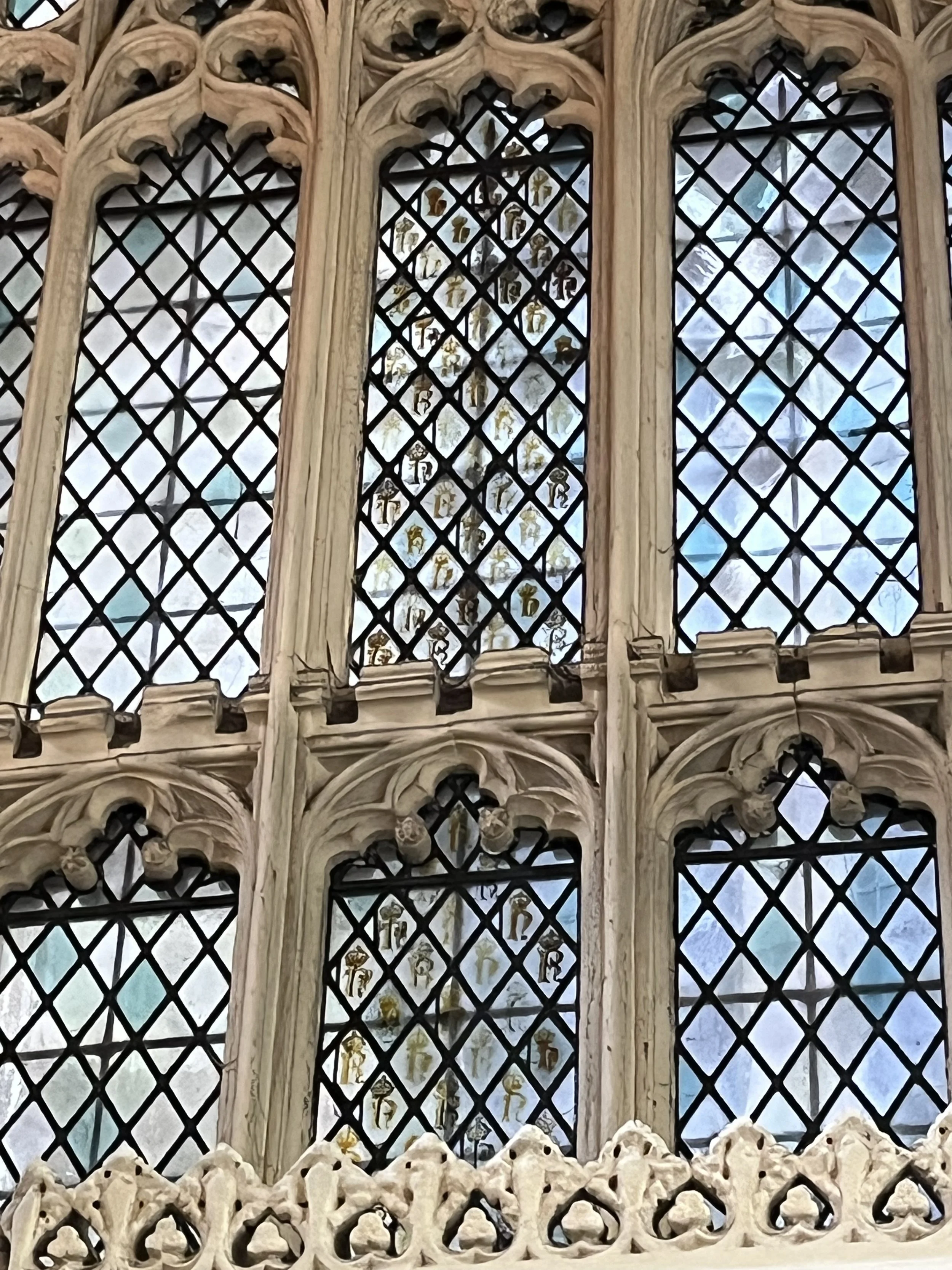 IMG_5341.jpeg