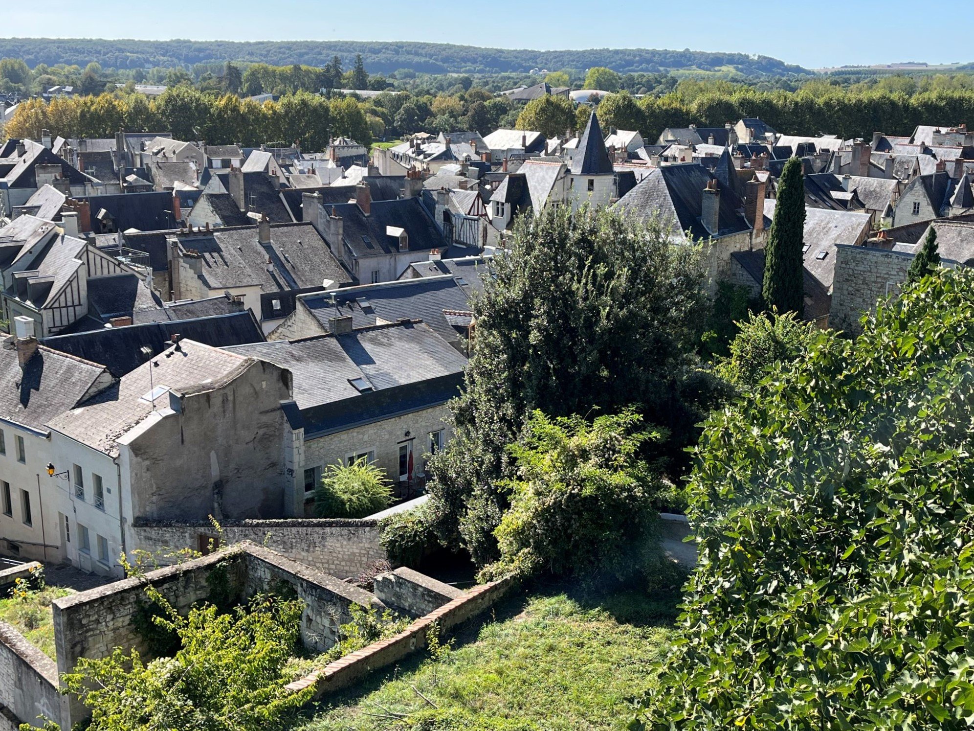 7-View of Chinon from Château.jpg