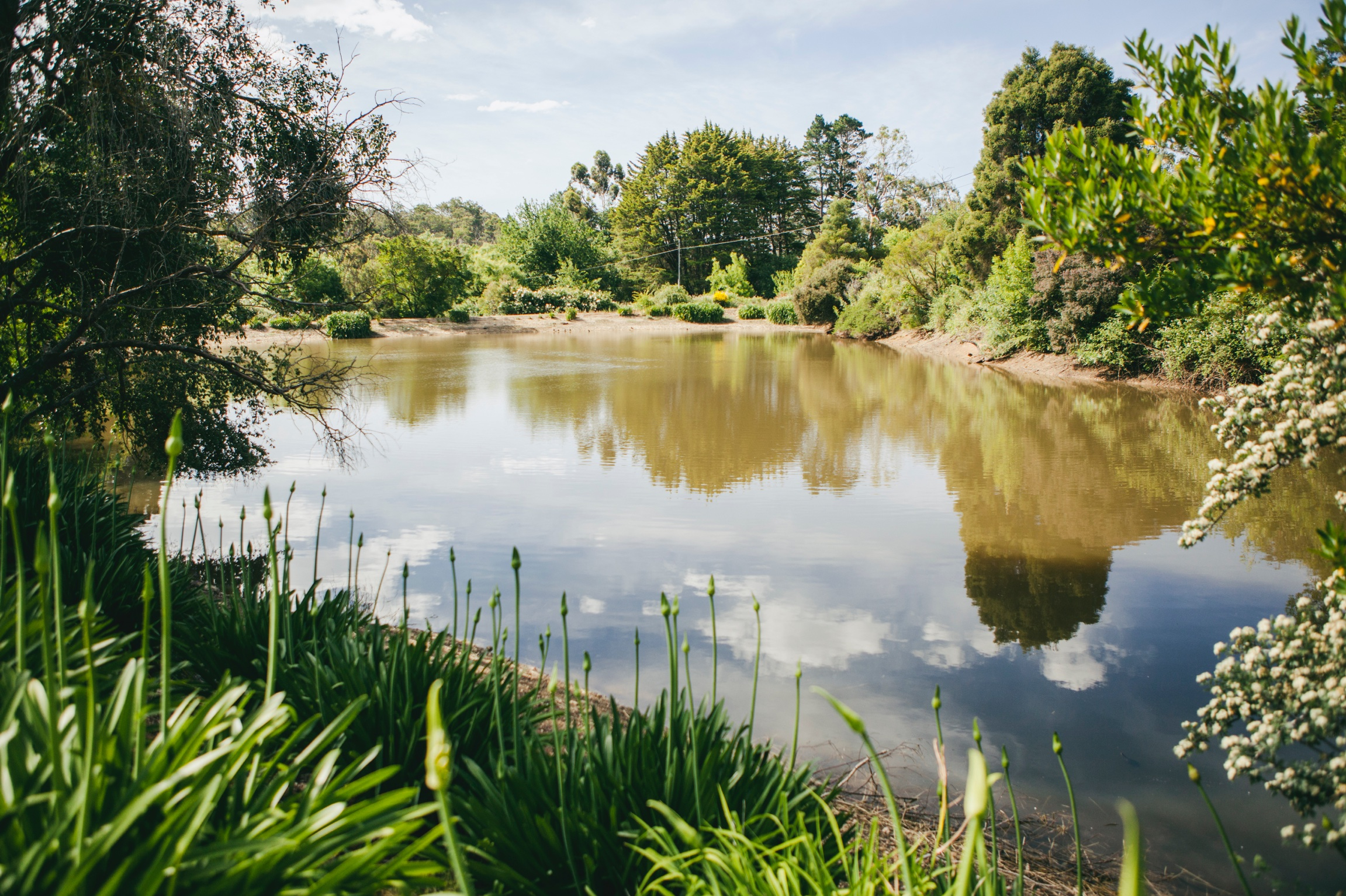 Ten Miles East lake - Photo Jennifer Sando.jpg