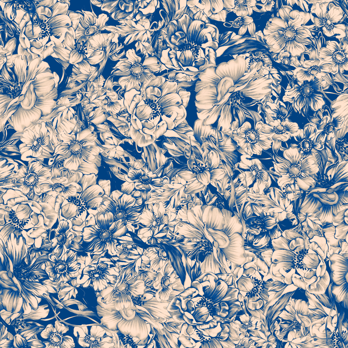 Floral color1 80x80_lowres.jpg