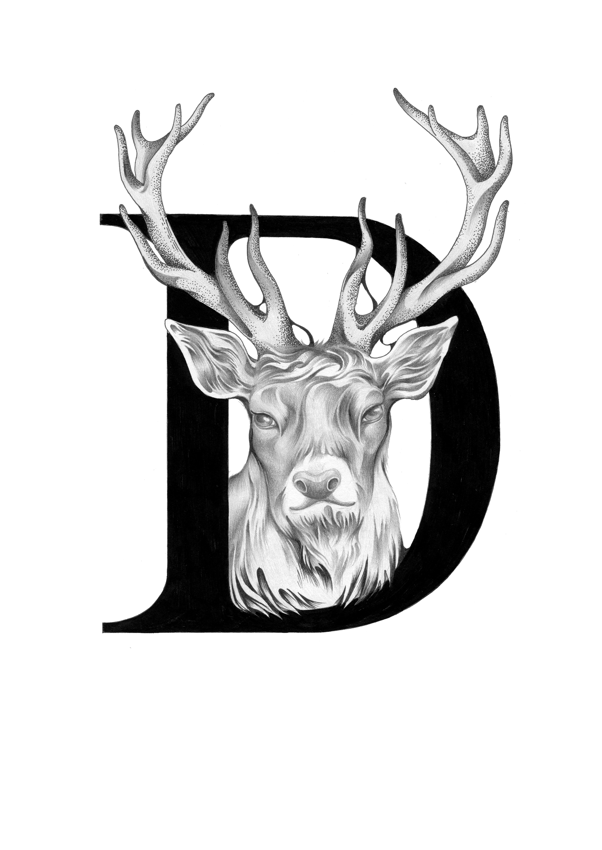 300 dpi-D Deer.jpg