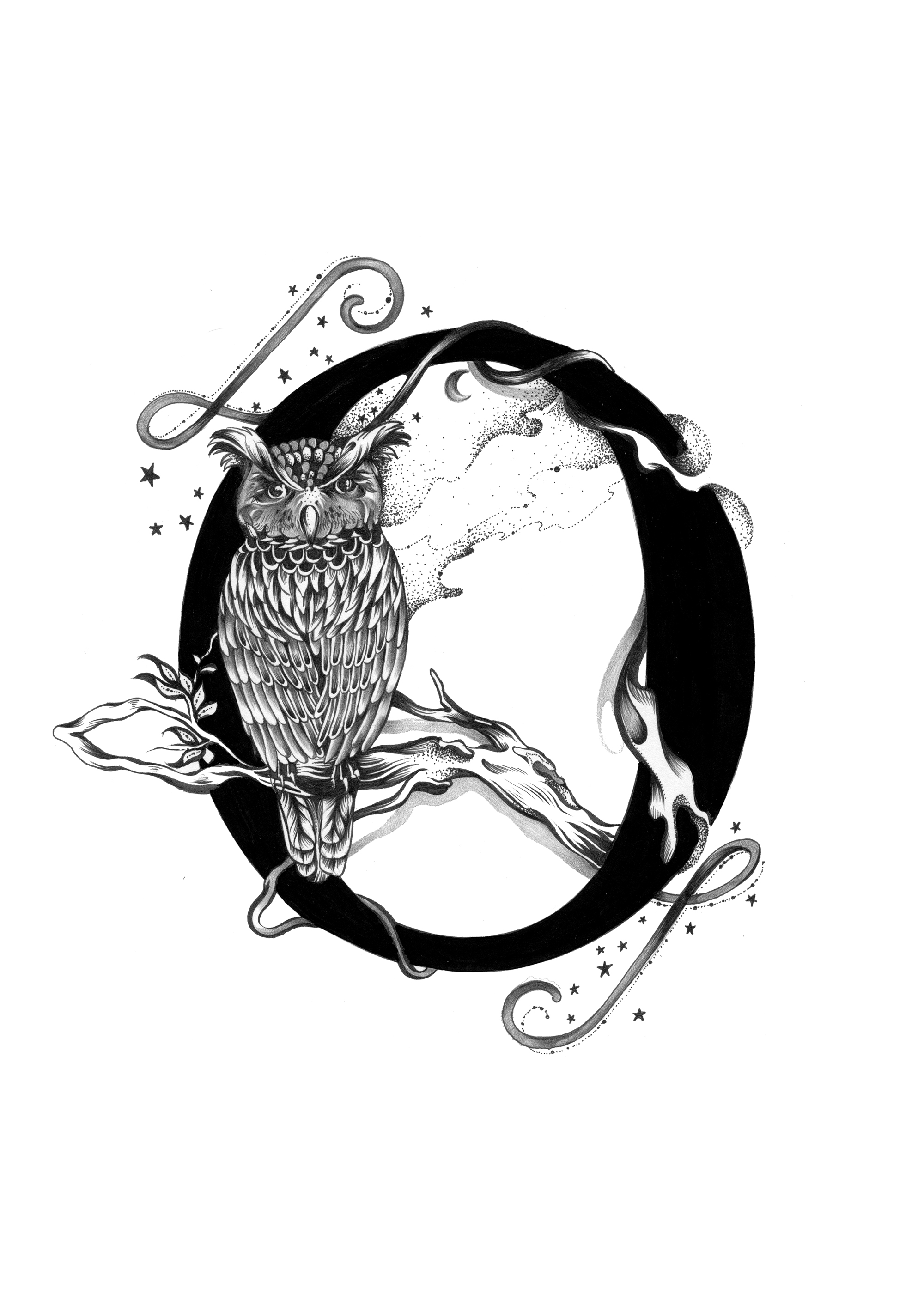 300 dpi-O Owl.jpg