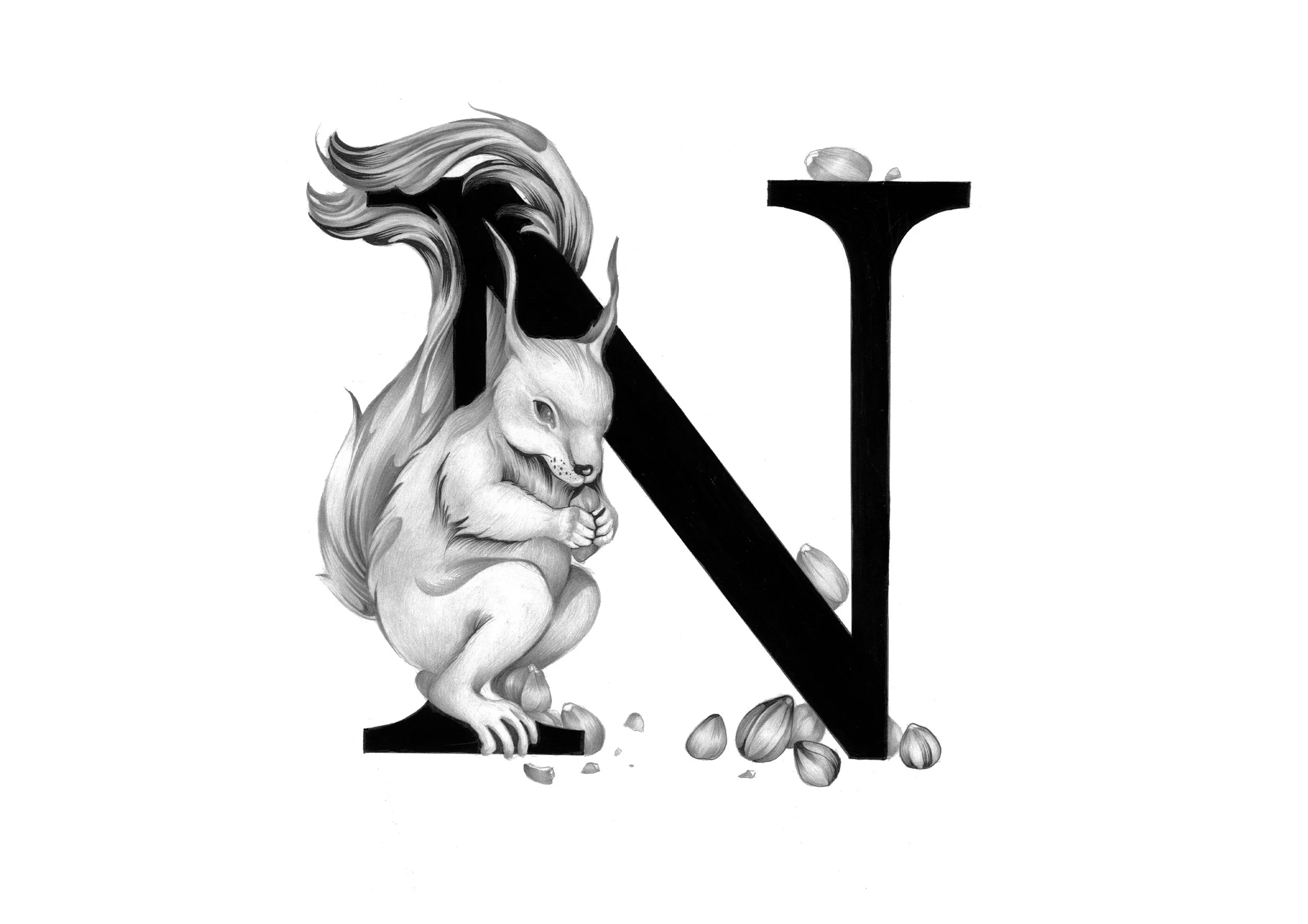 N-2h.jpg