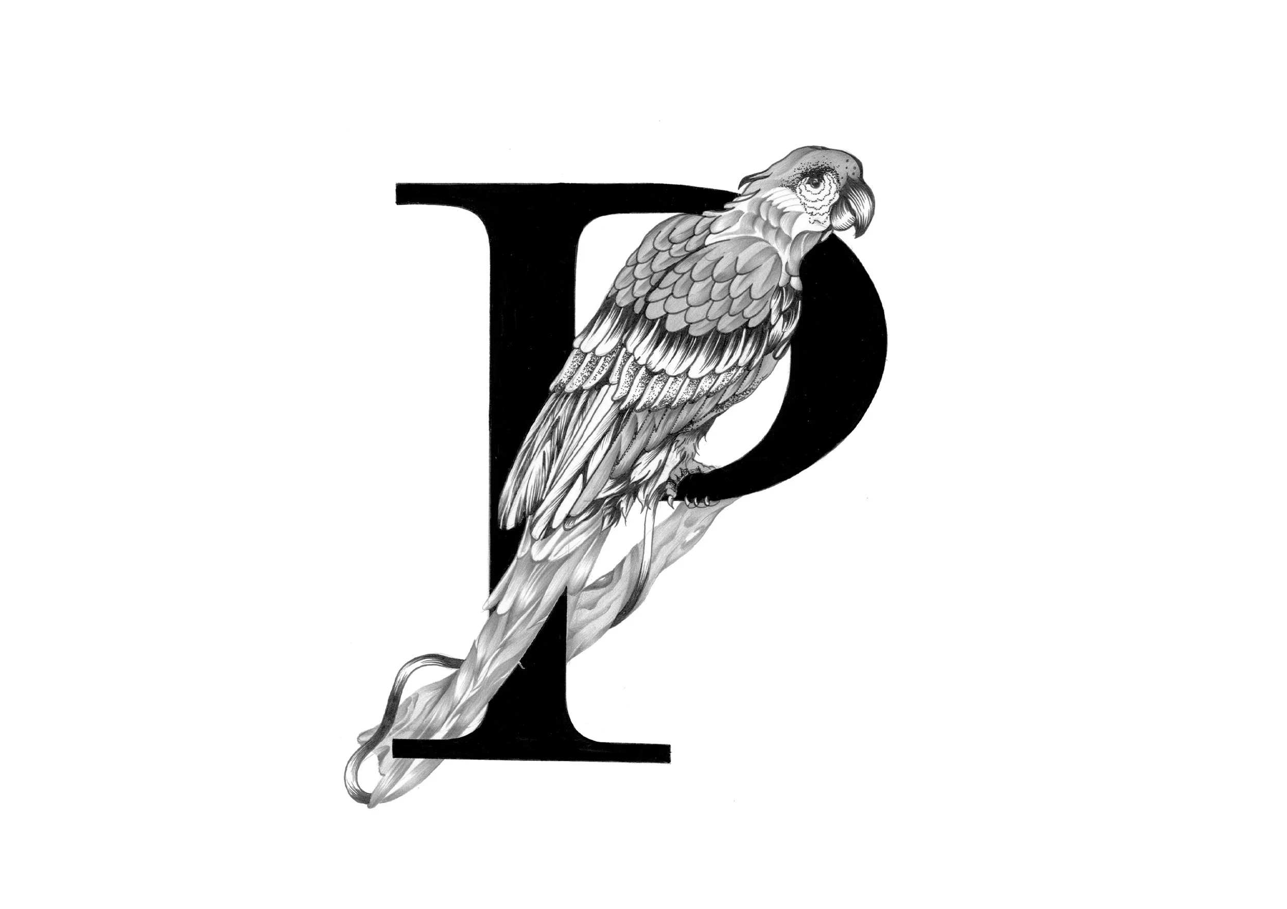 P-2.jpg