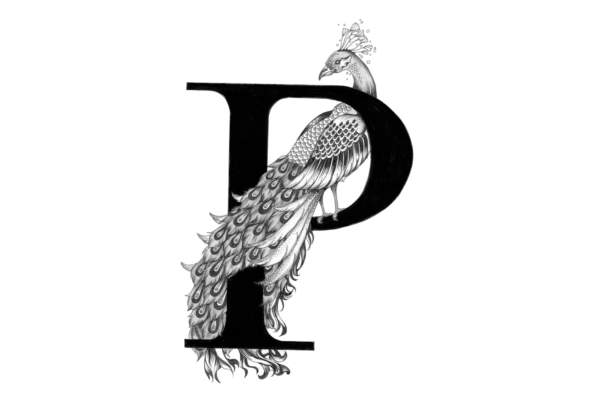P-3.jpg