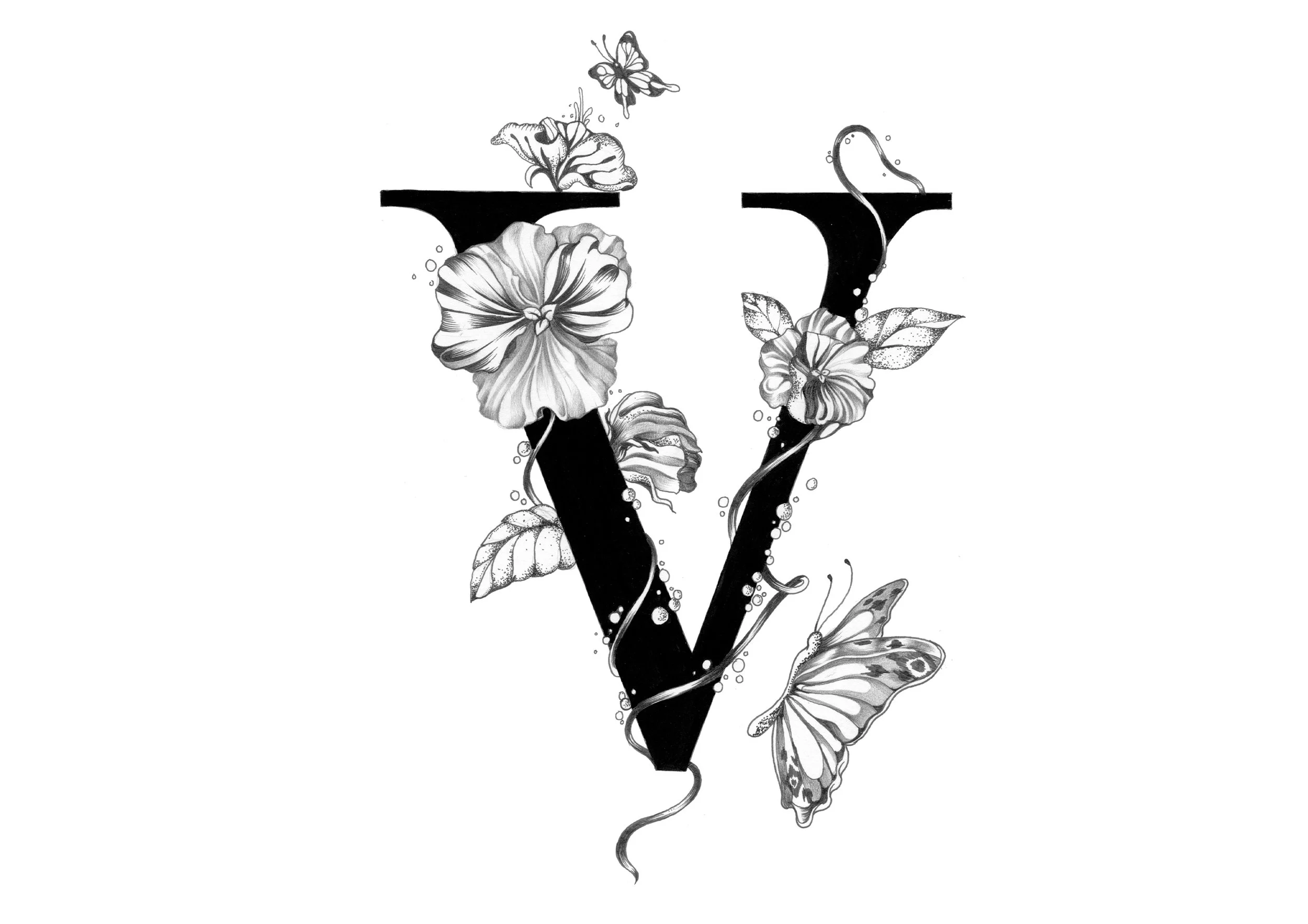 V.jpg