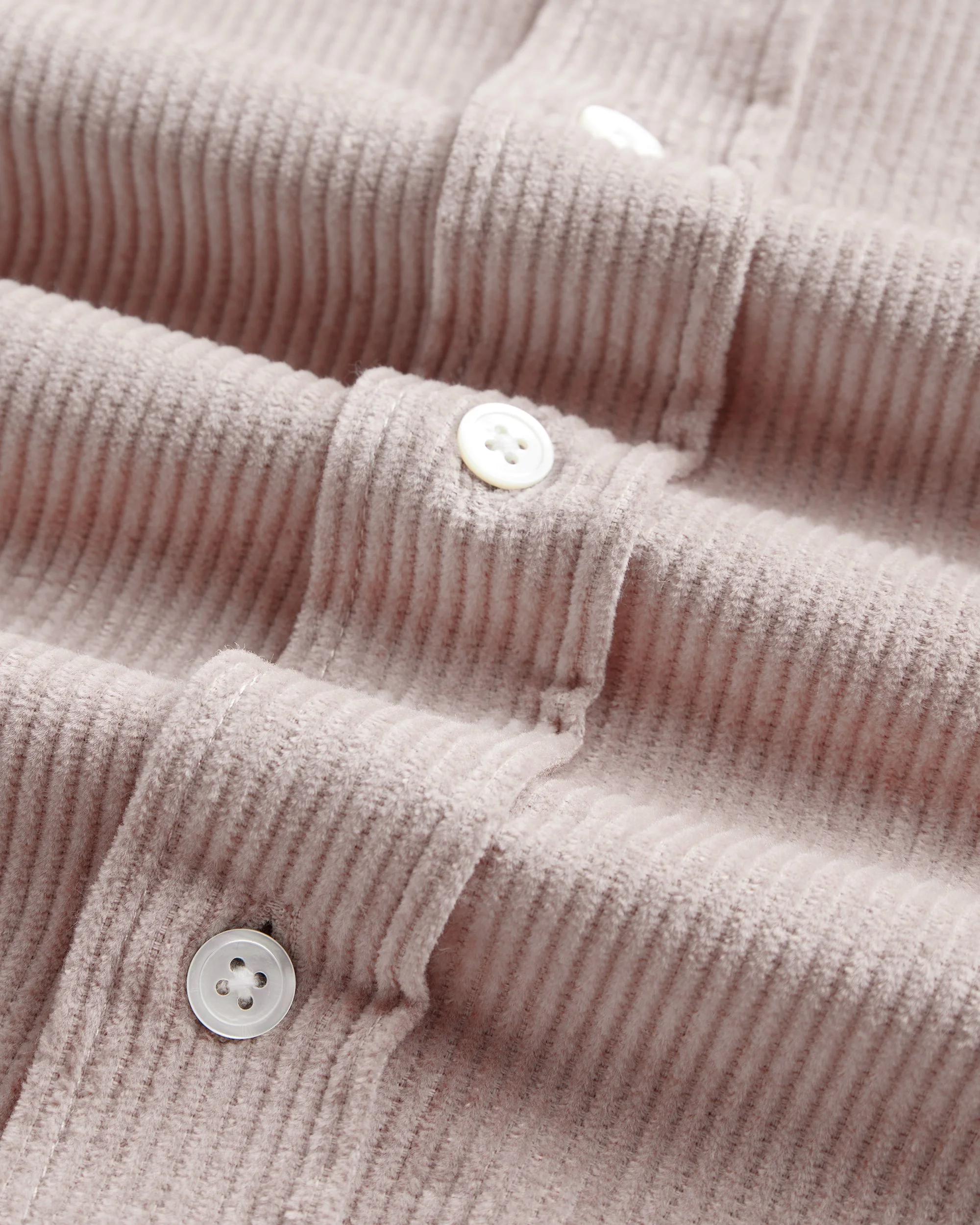 LOBO - OLD ROSE_ZOOM_.JPG