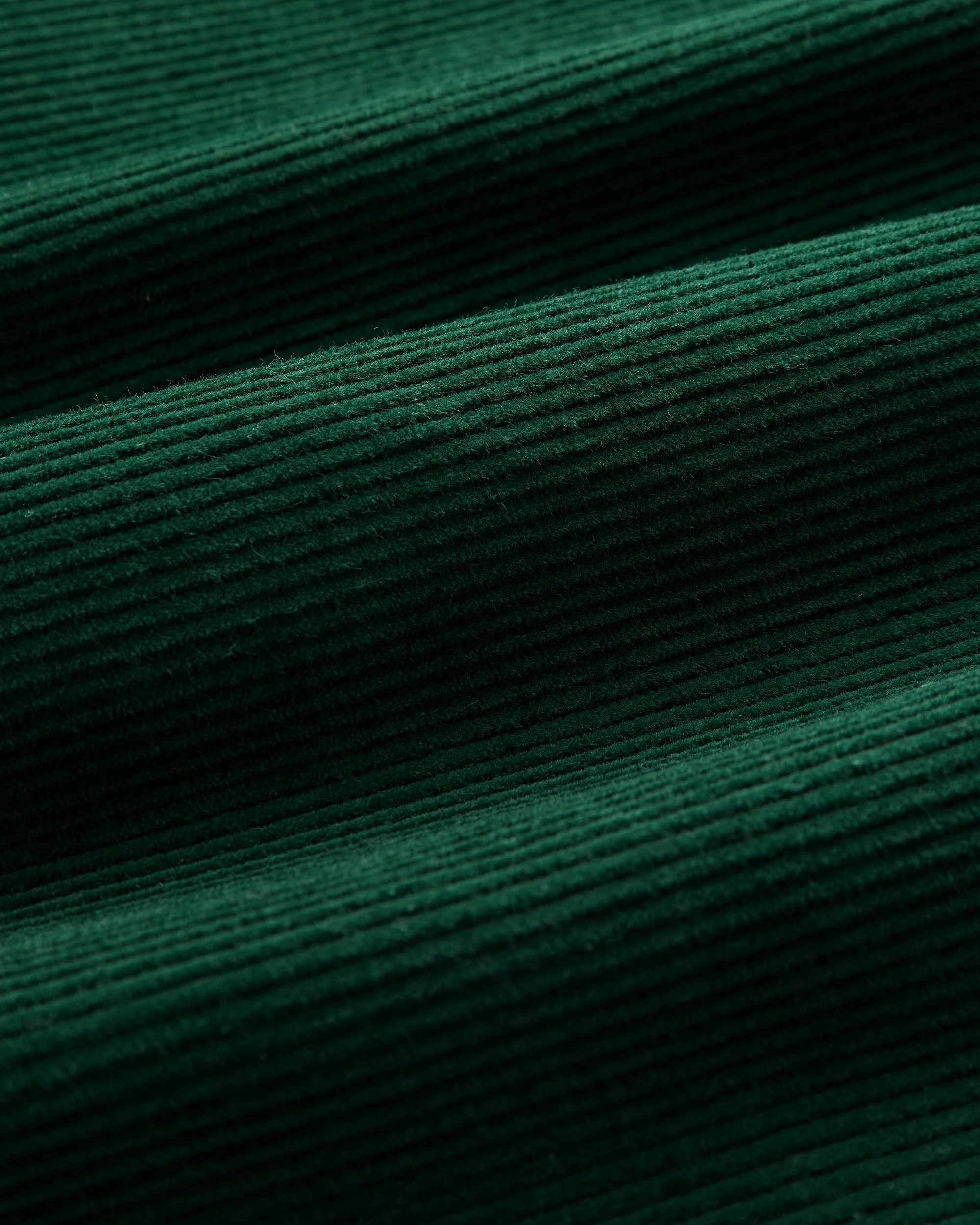 LOBO - GREEN_ZOOM_ 2.JPG